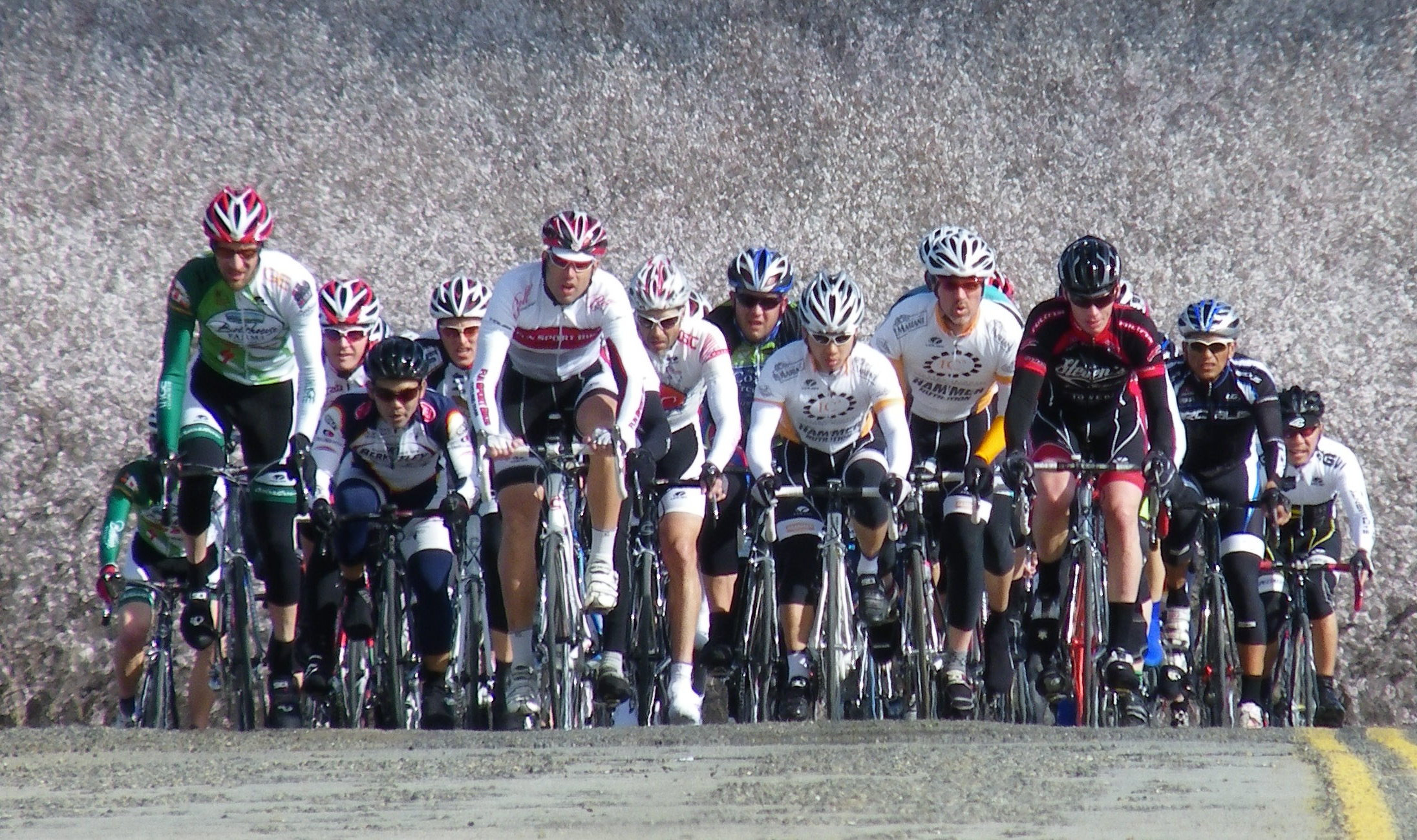 User-uploaded image 1