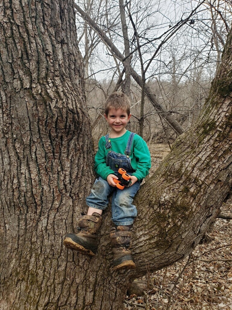 User-uploaded image 1