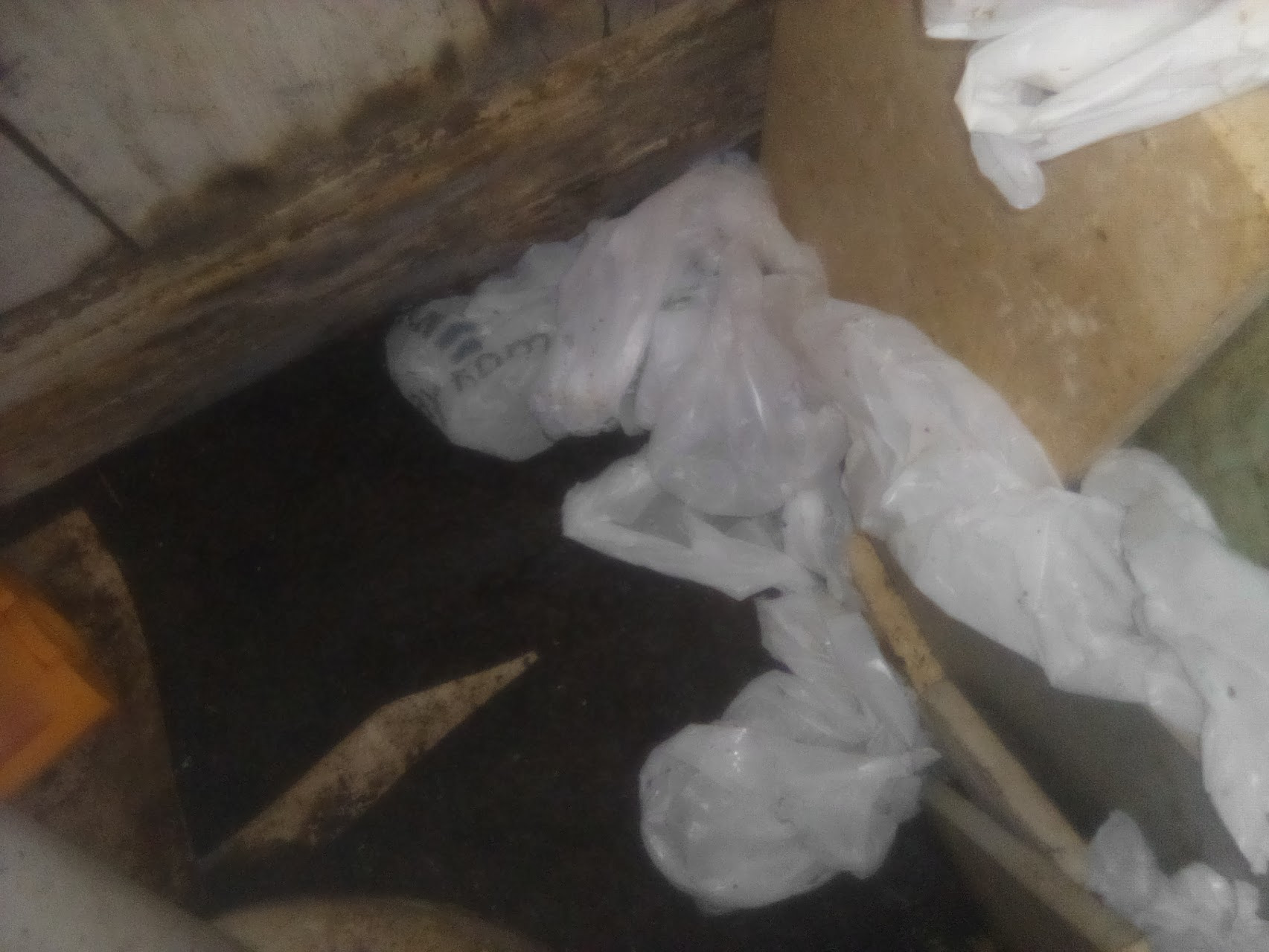 Urgent Plumbing Help Needed for Home and Cats campaign photo, 6 of 7