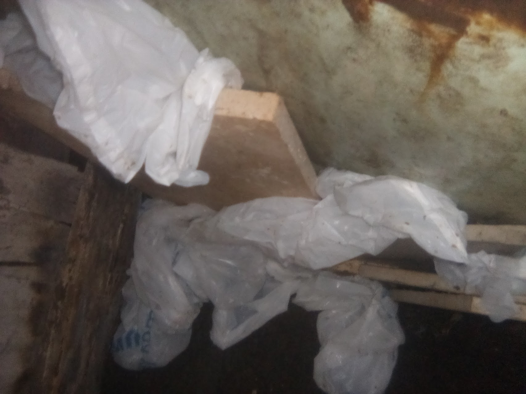 Urgent Plumbing Help Needed for Home and Cats campaign photo, 2 of 7