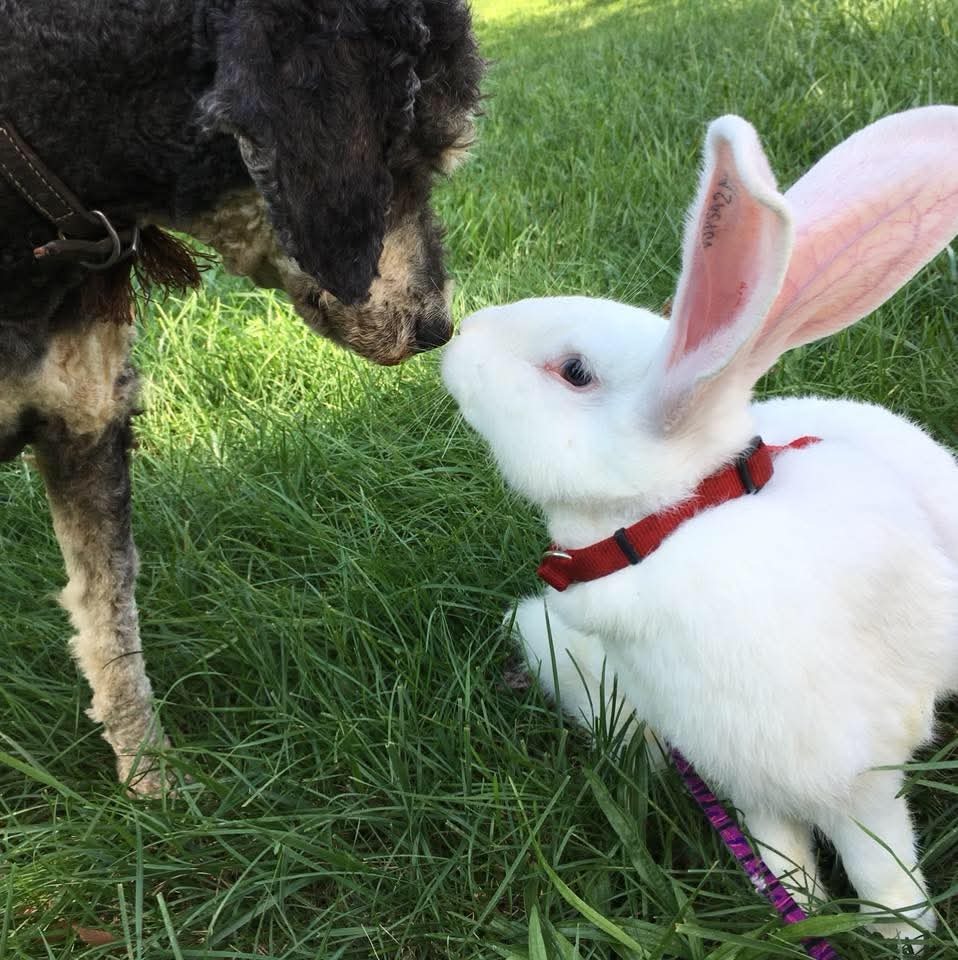 User-uploaded image 1