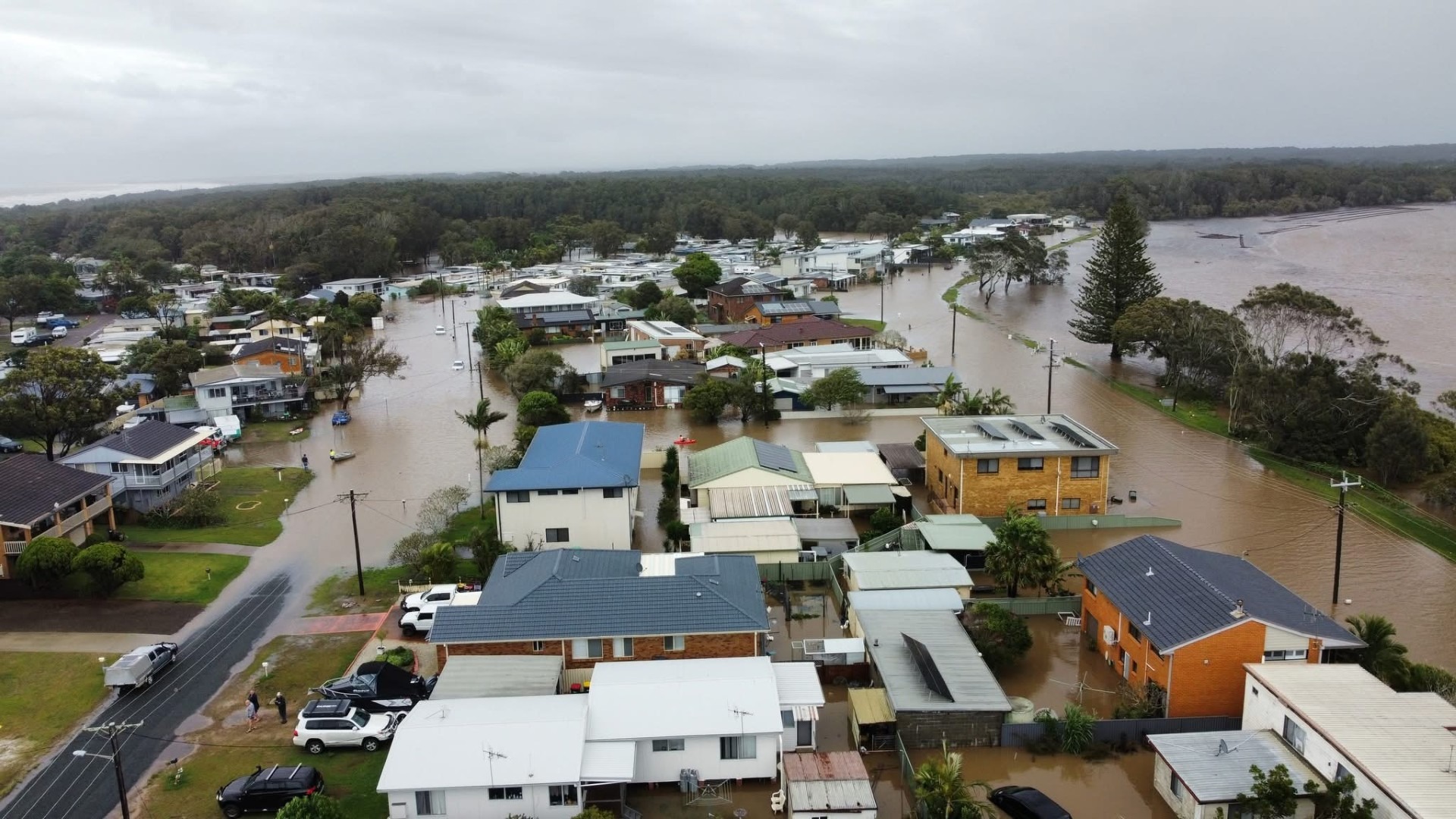 User-uploaded image 2