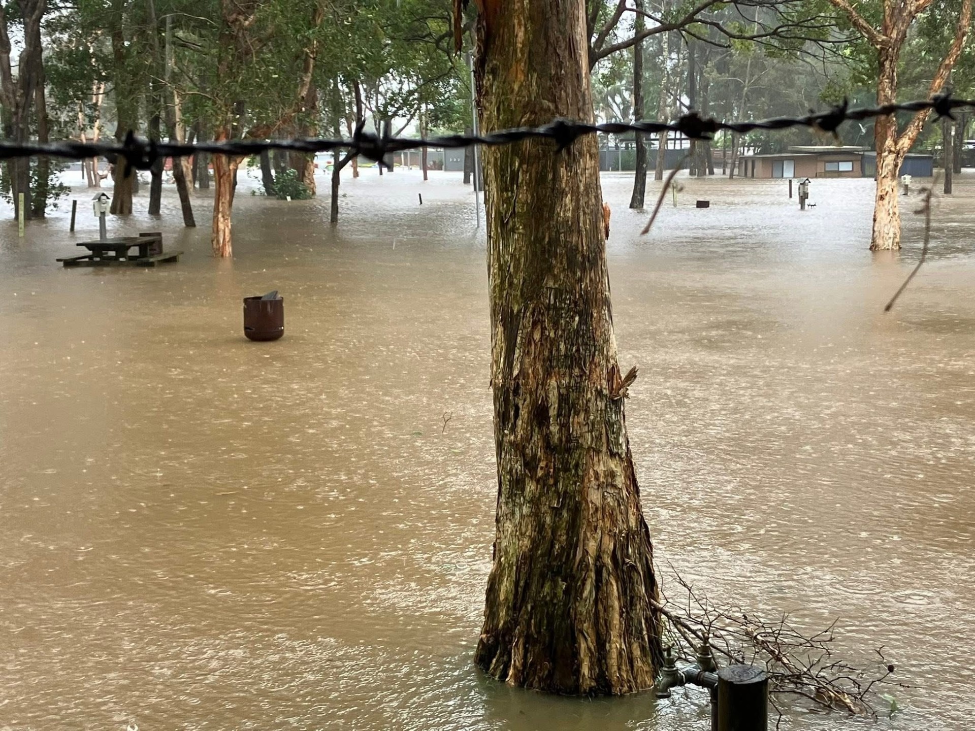 User-uploaded image 3