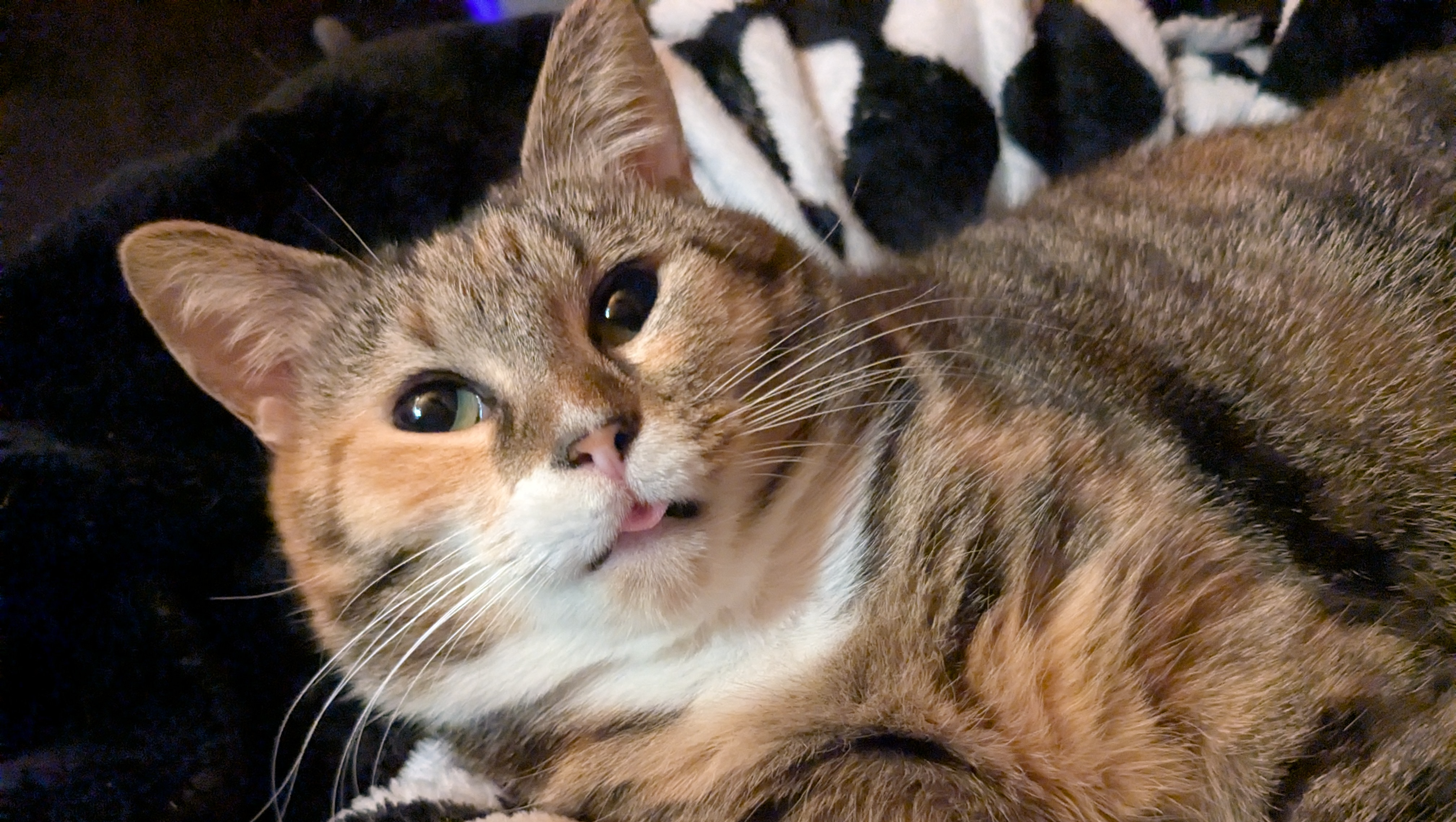Help my Baby Live her Life Pain Free!!! photo