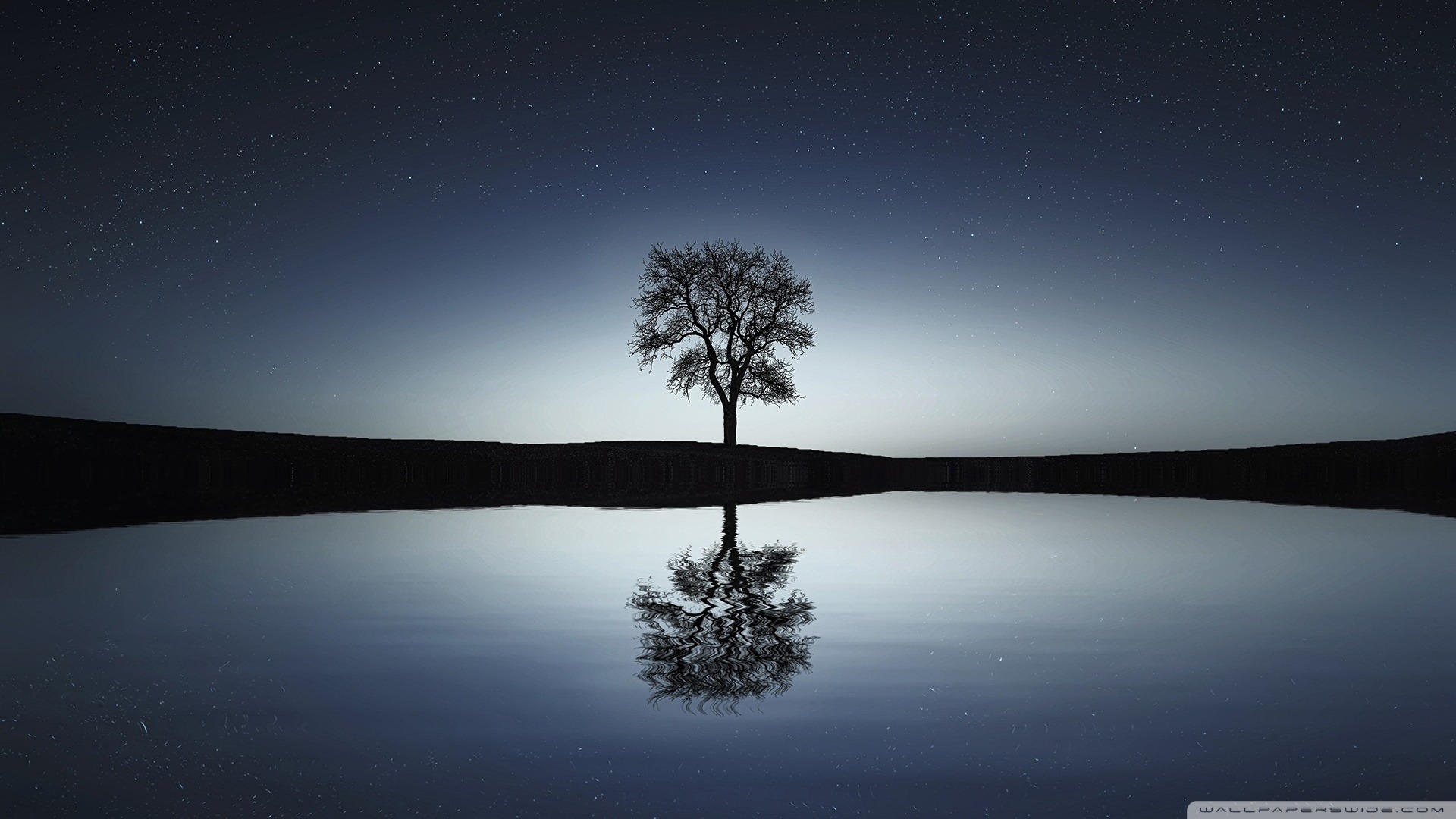 User-uploaded image 1