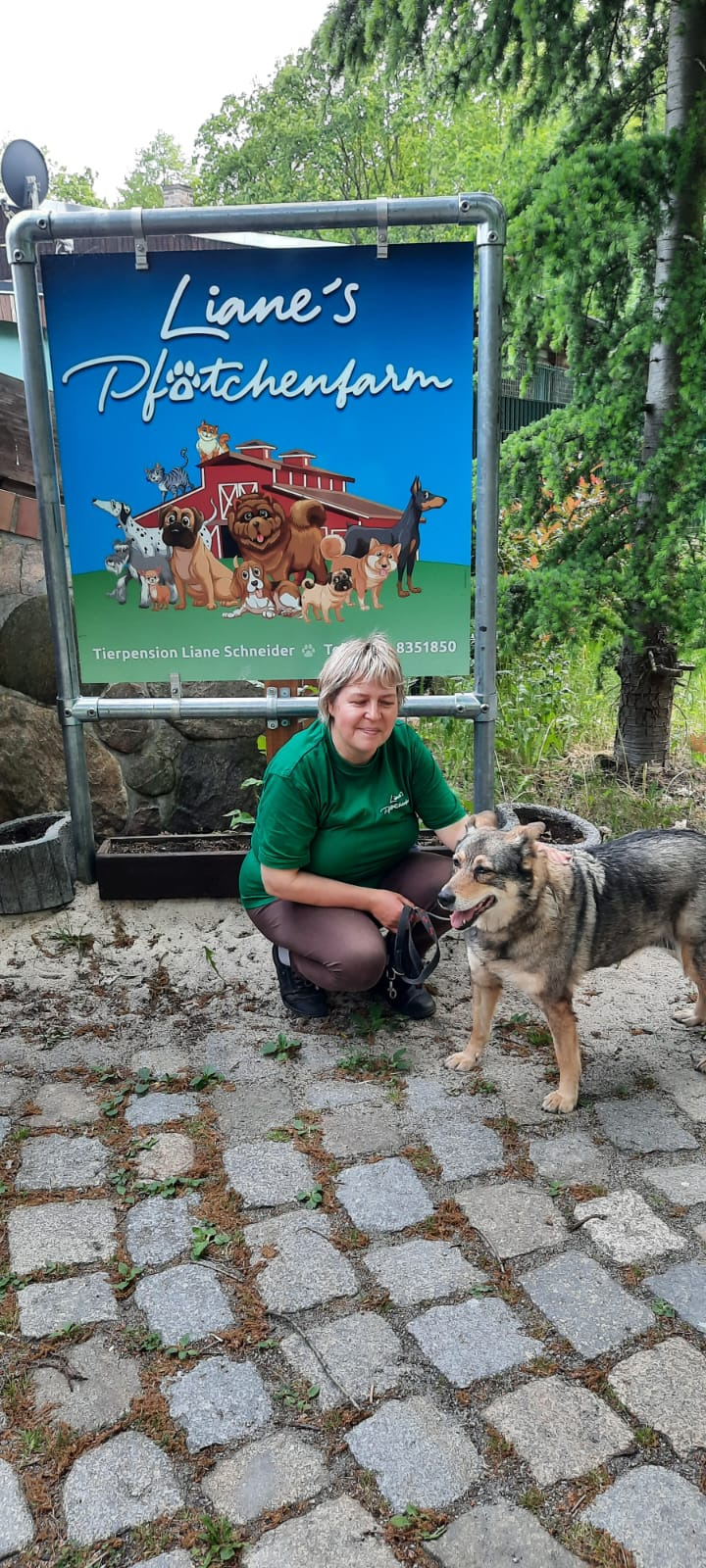 Hilfe für meine Tierpension campaign photo, 5 of 6