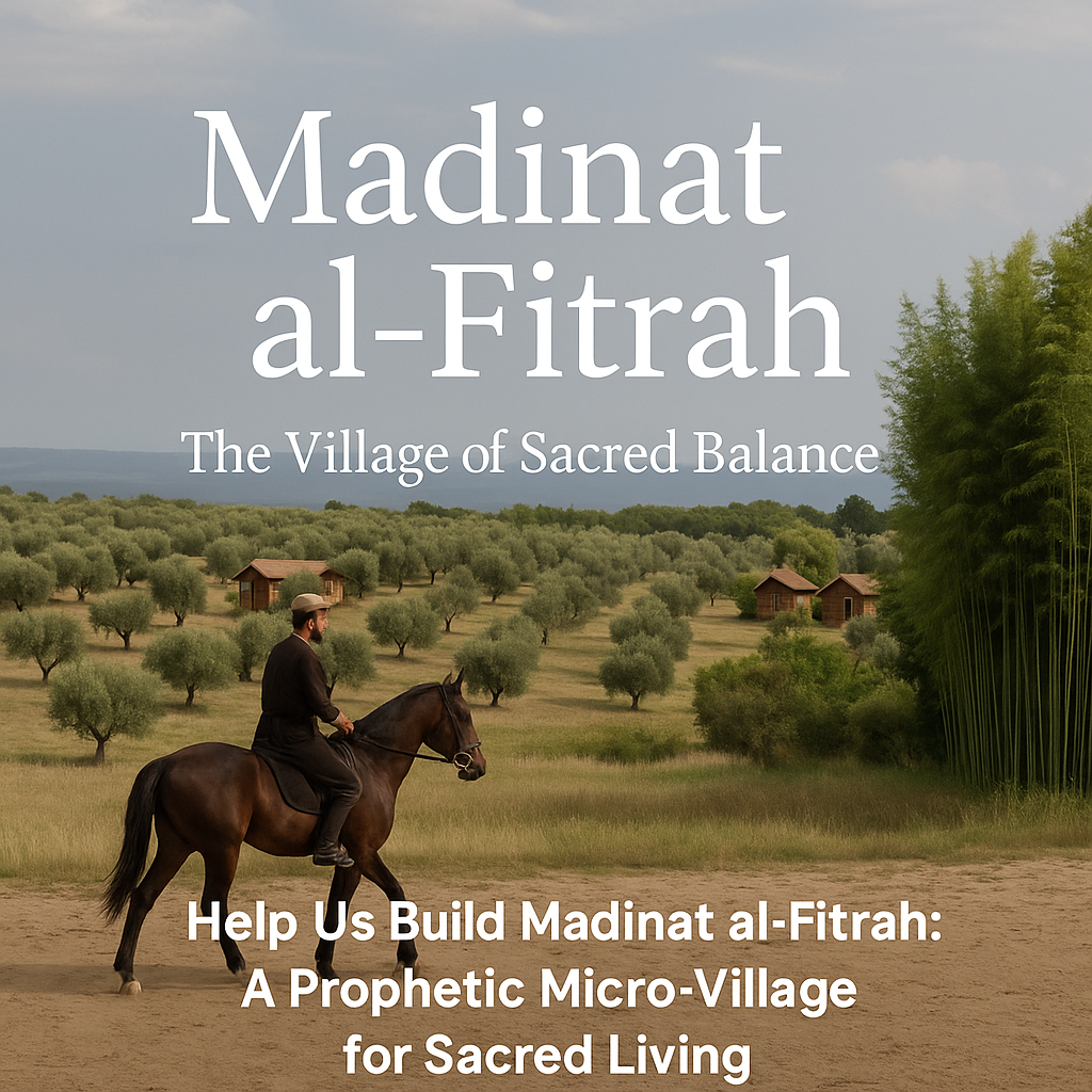 User-uploaded image 1