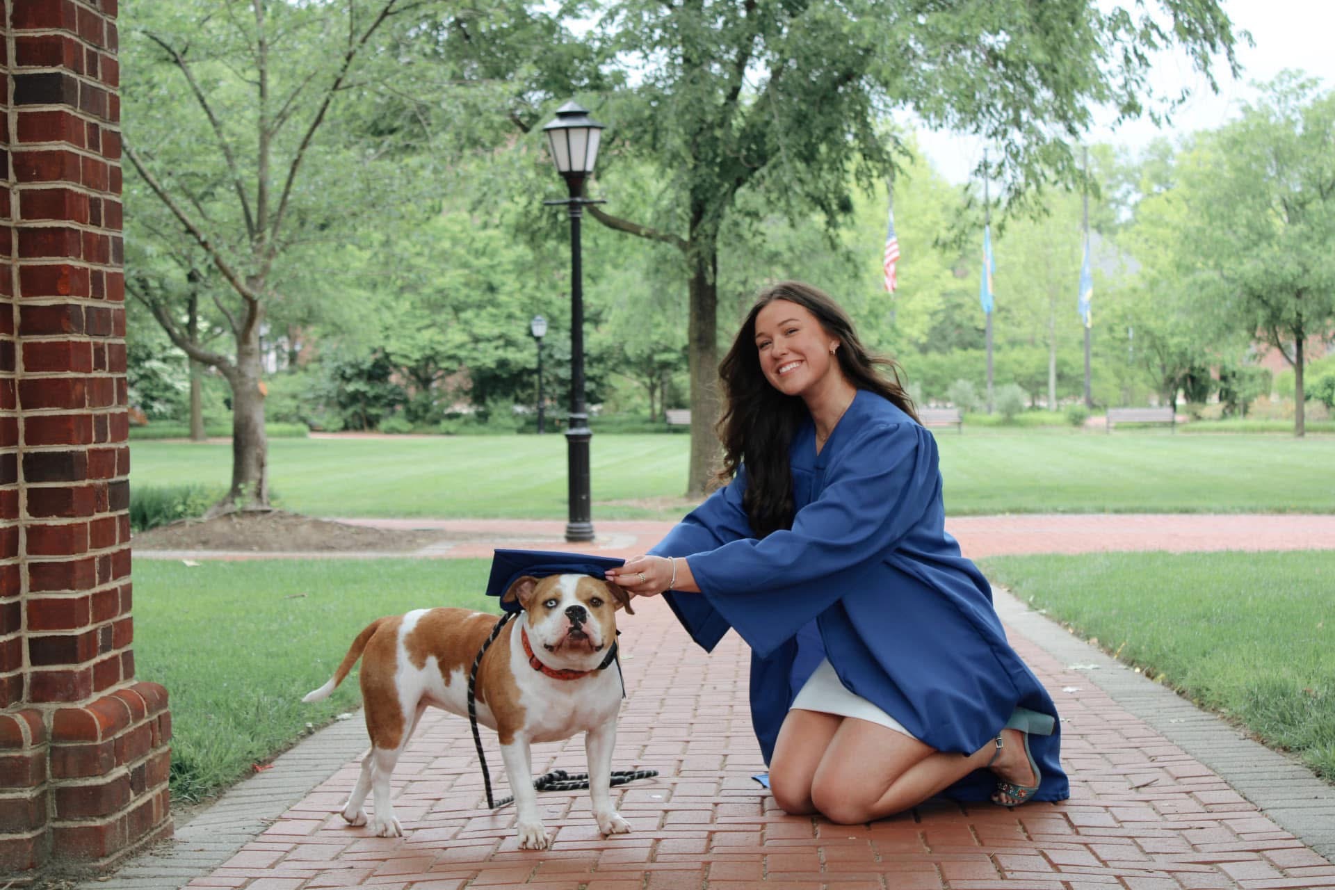 User-uploaded image 1