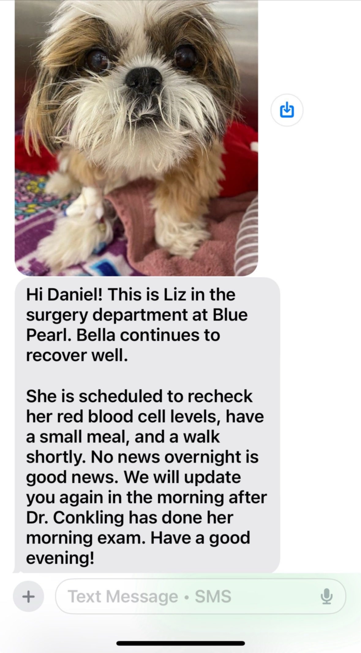 Save Bella's Life: Join Her Cancer Battle campaign photo, 6 of 8