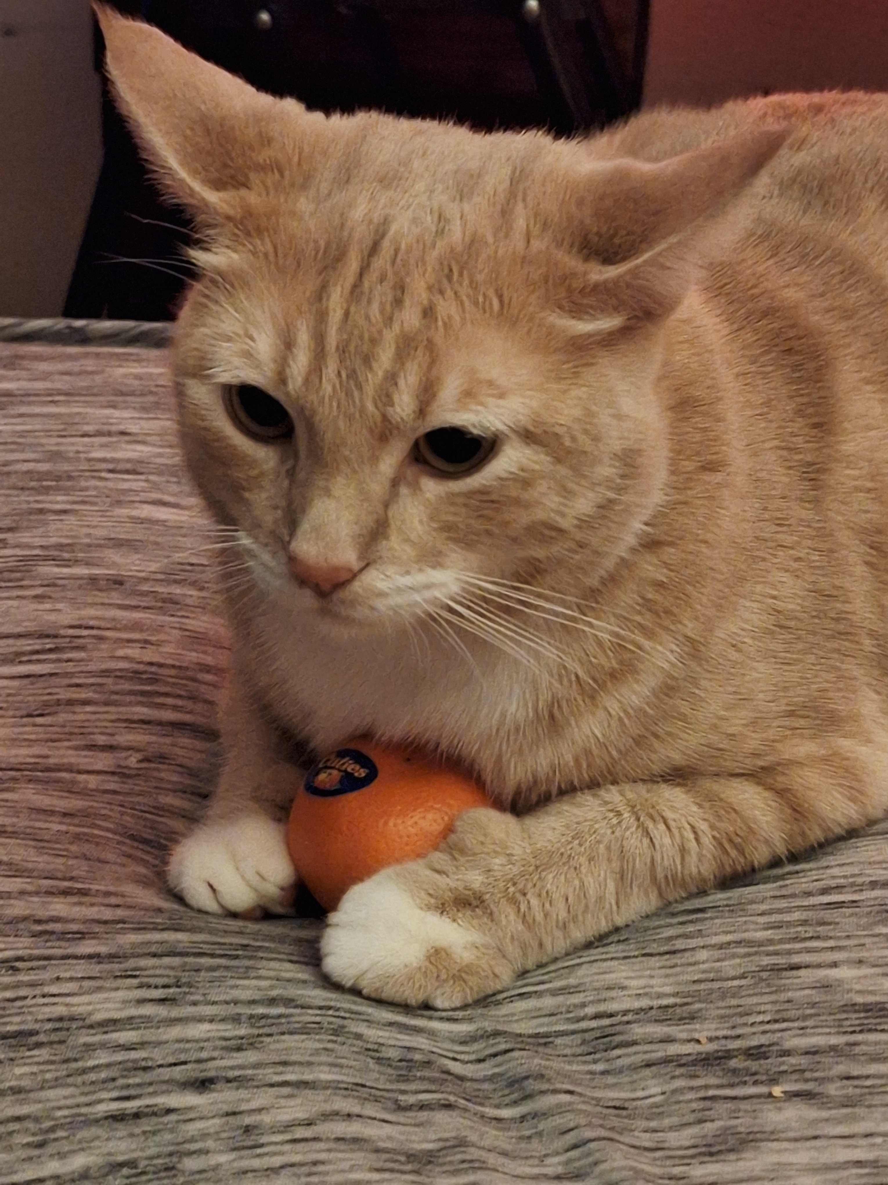 Help George Receive Emergency Life-Saving Treatment campaign photo, 2 of 4