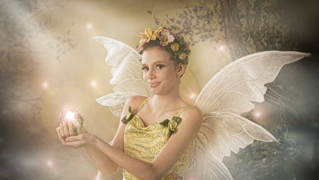 Noah's Adventure photo