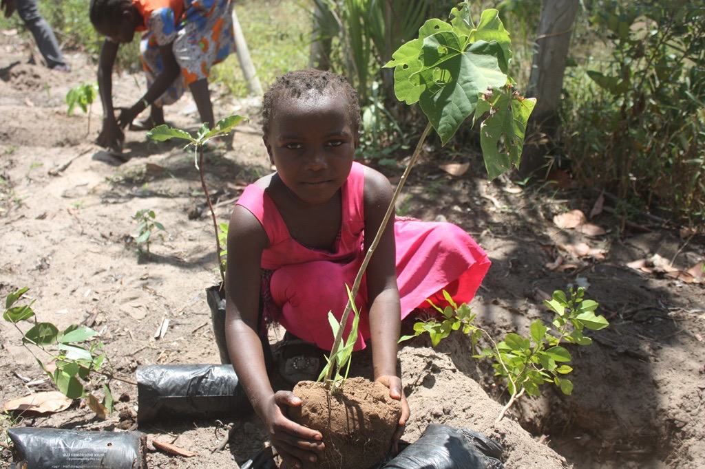 Root to Rise: A Farm to Nourish and Empower 300 Girls campaign photo, 4 of 8