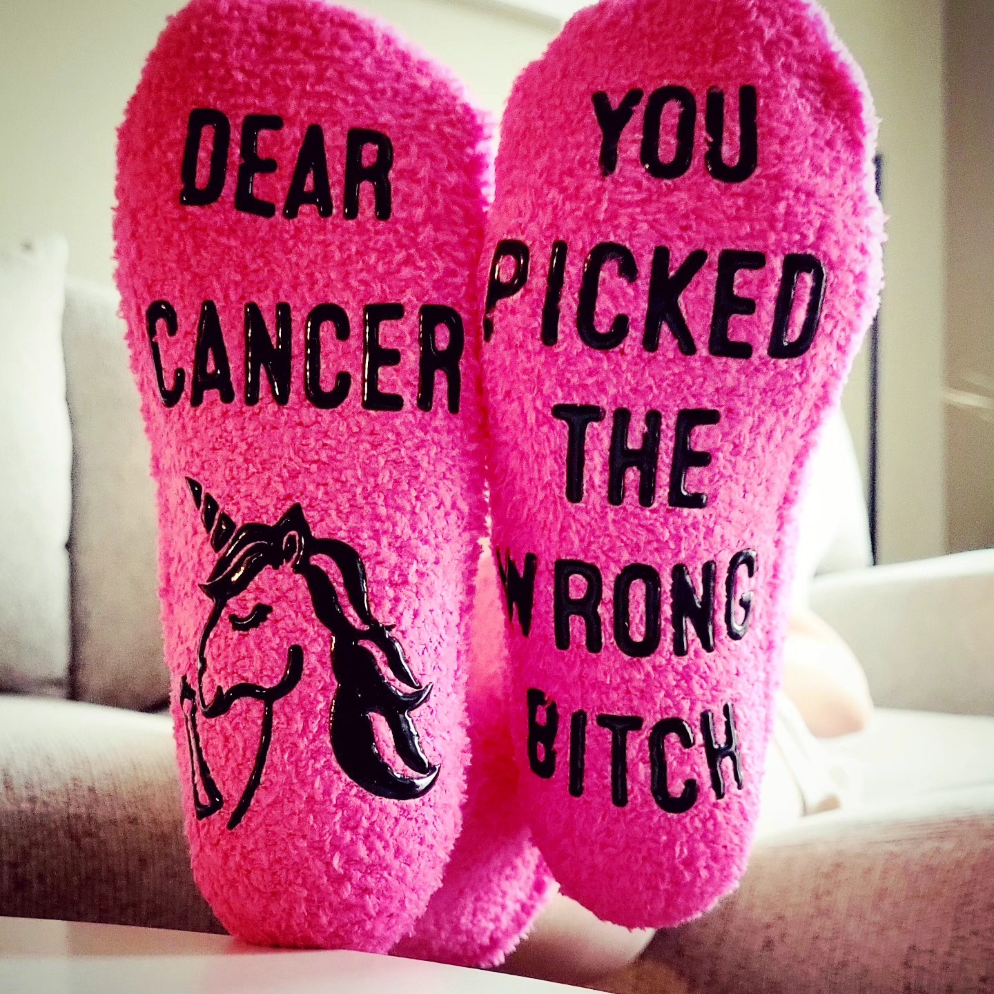 Support My Sister’s Fight Against Breast Cancer campaign photo, 5 of 6