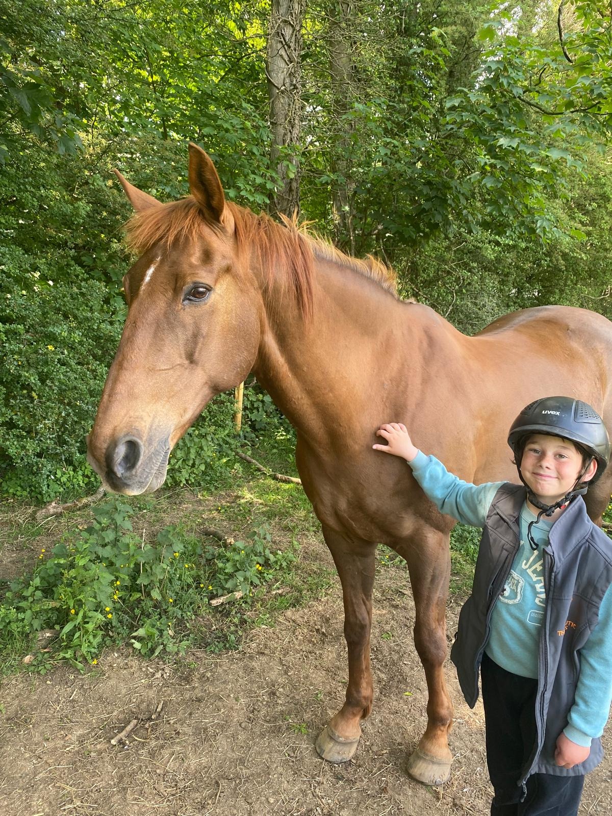 Supporting Therapy Horses for Children with additional needs campaign photo, 2 of 4