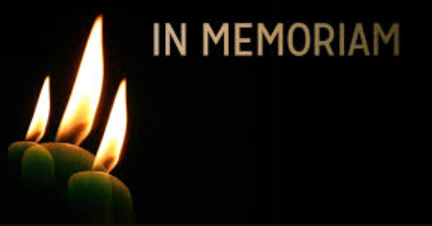 In Memory of Erin to support her son Finn campaign photo, 2 of 4