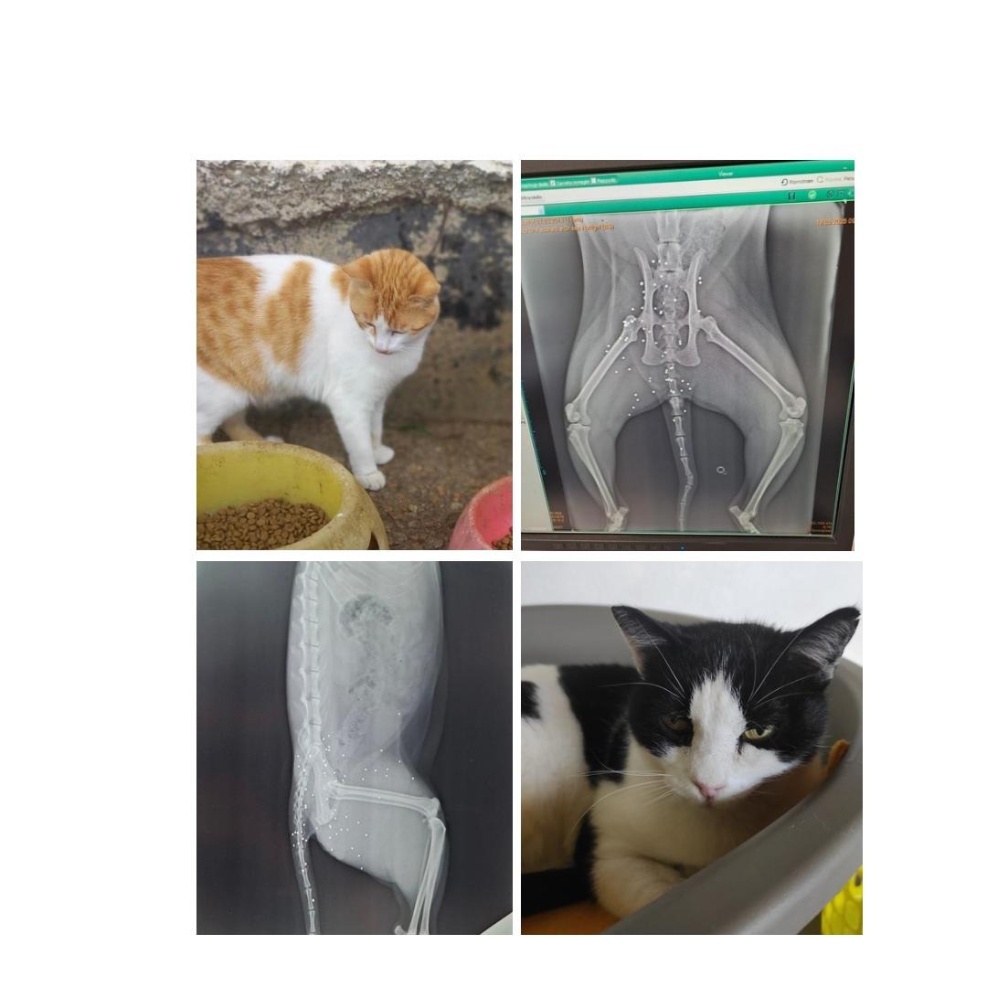 User-uploaded image 1