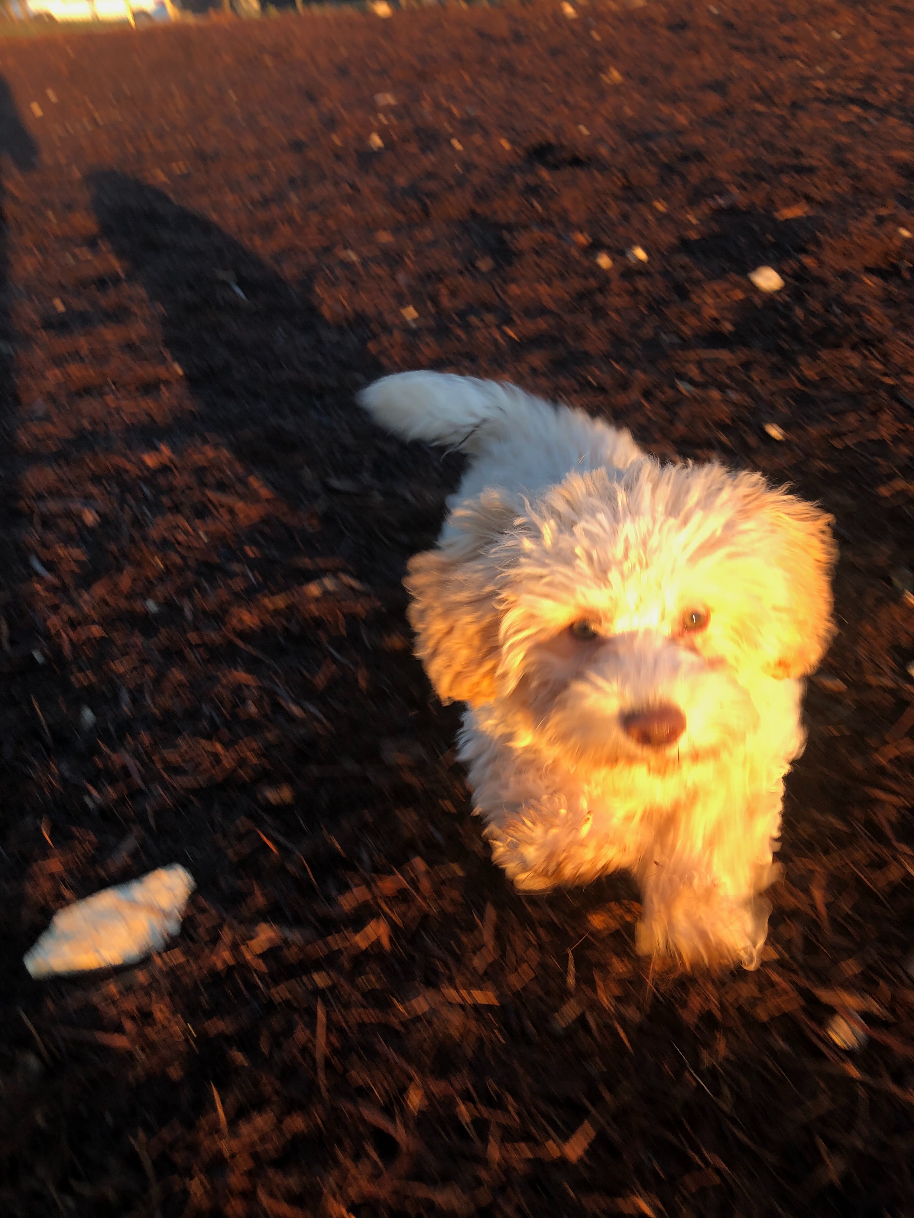 User-uploaded image 1