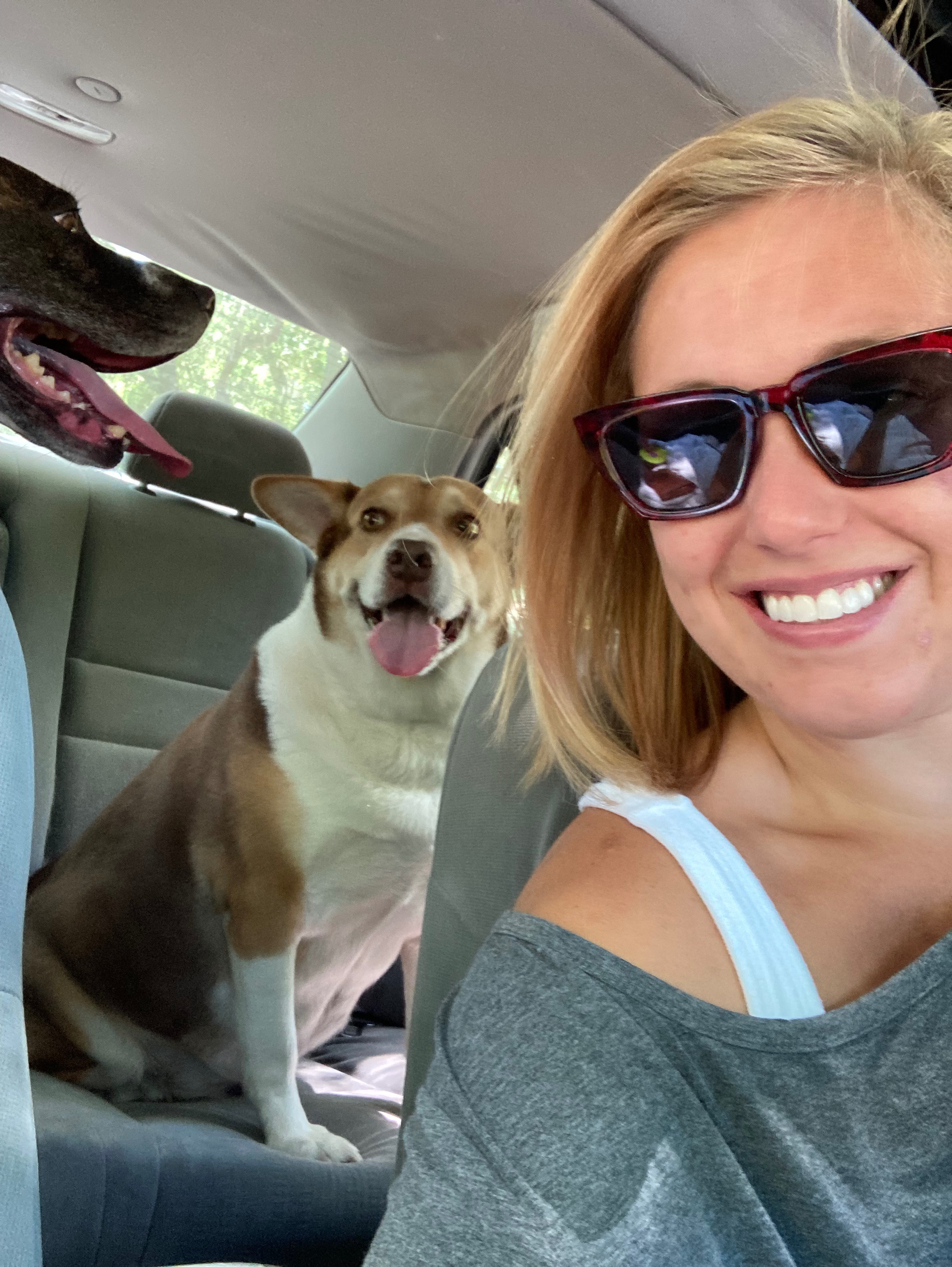 User-uploaded image 1