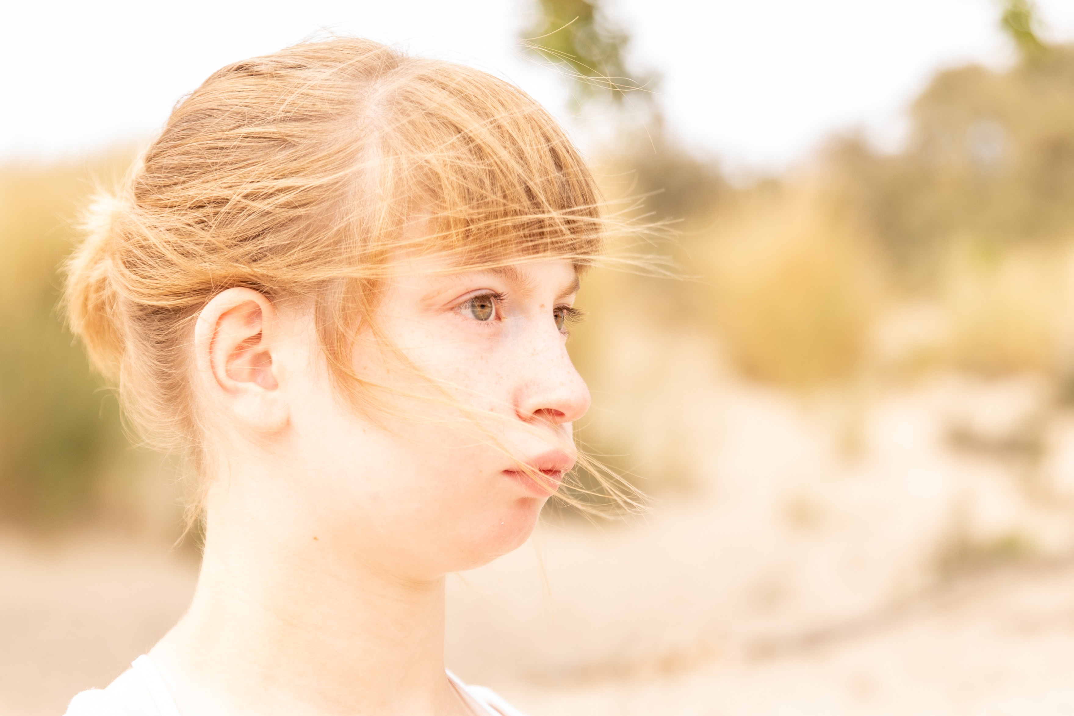 User-uploaded image 2