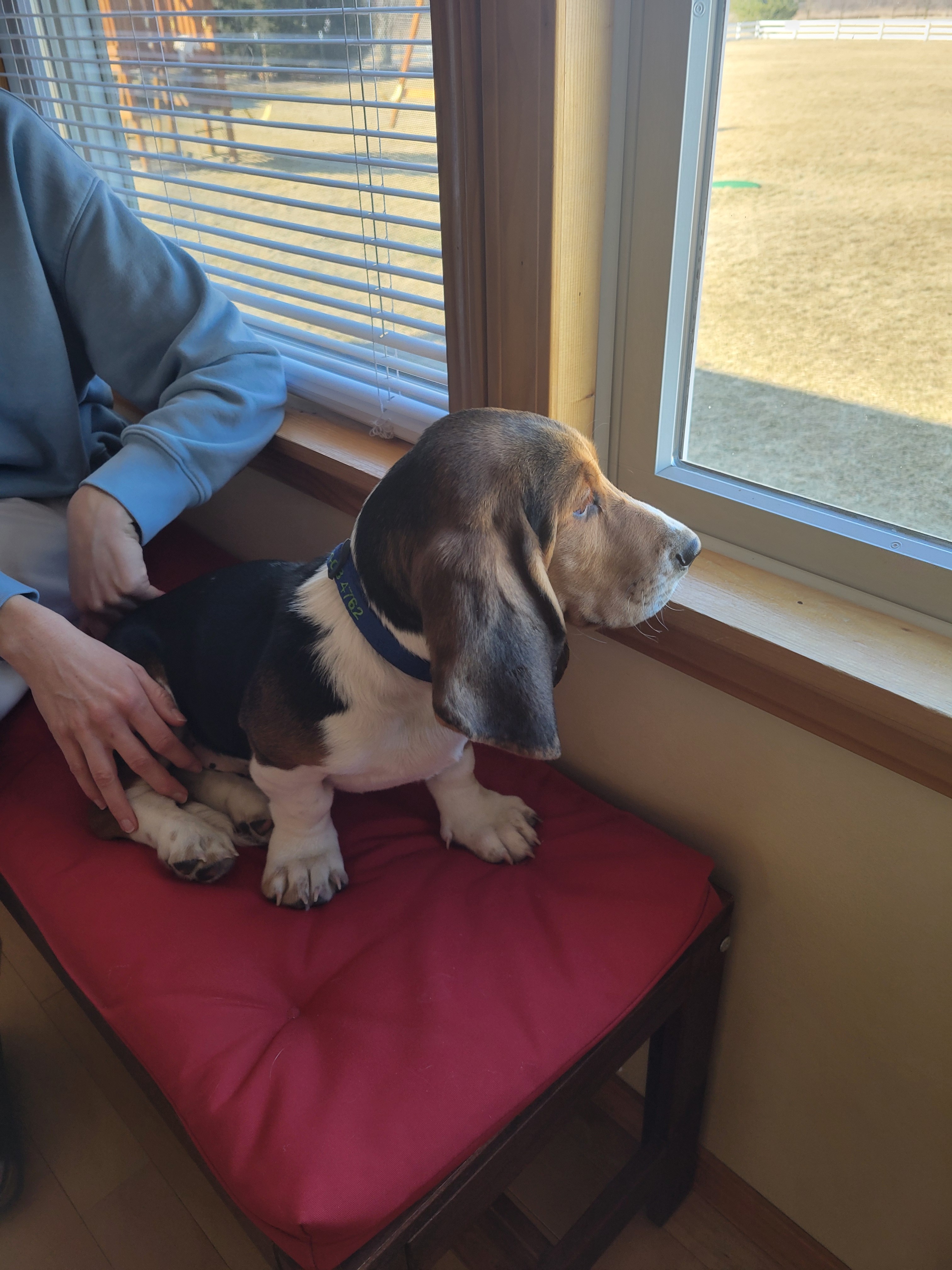 Support Norman's Critical Surgery campaign photo, 5 of 7