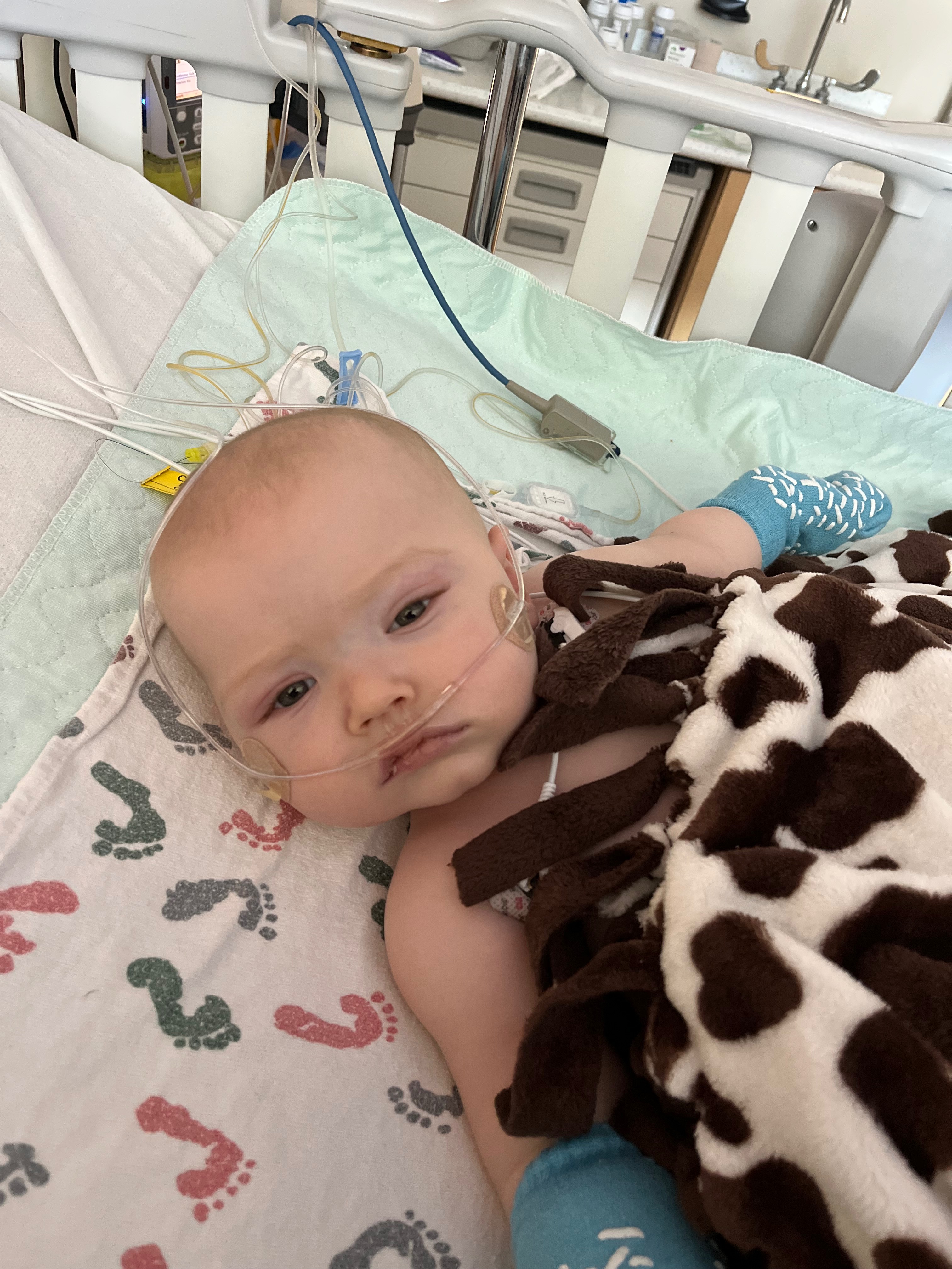Beau Needs Your Help: Medical Emergency campaign photo, 2 of 5