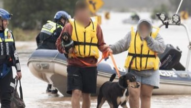 Mid North Coast Flood Animal & Vet Assistance photo