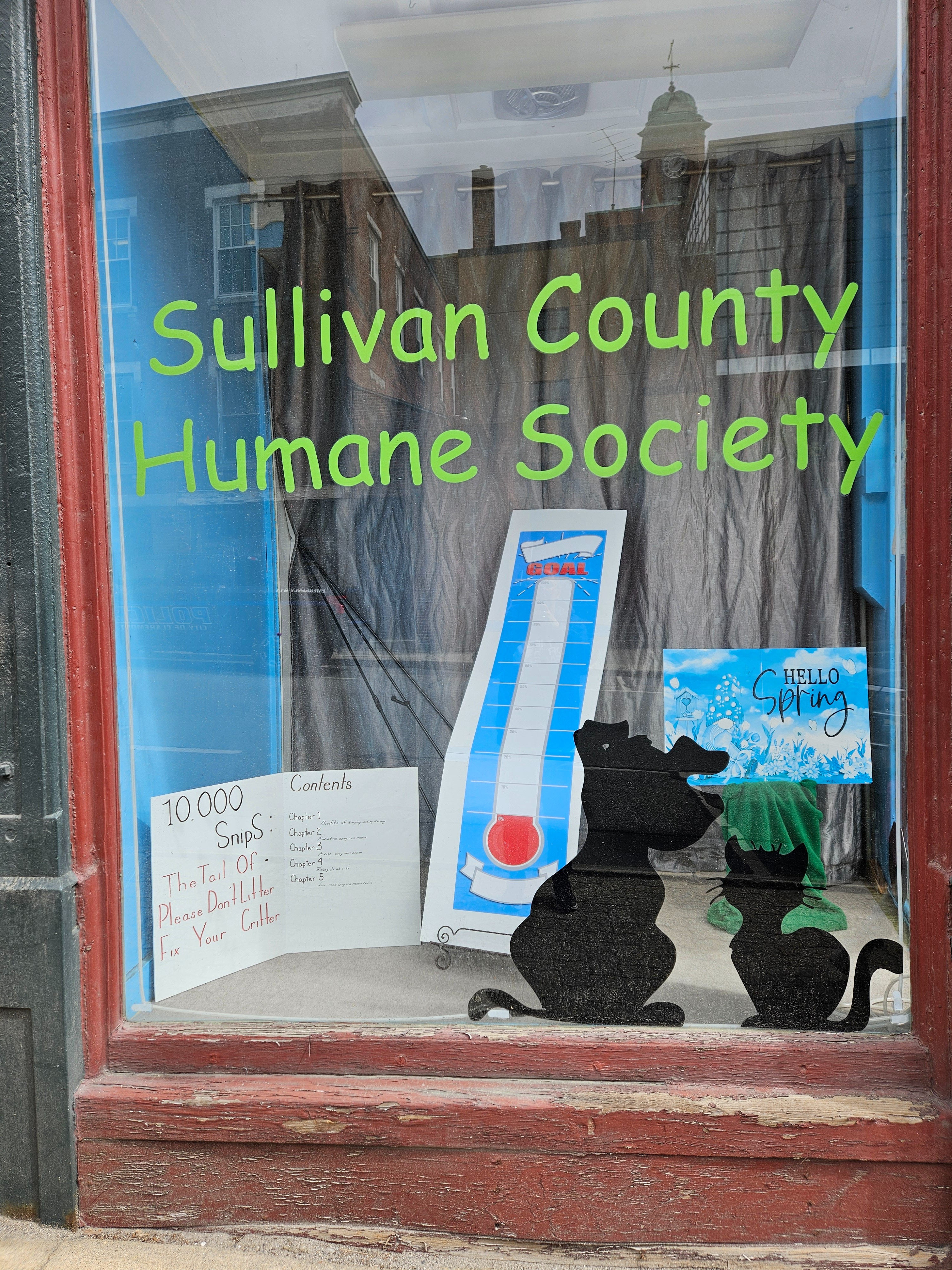 Help SCHS Reach More Cats in Need campaign photo, 7 of 8