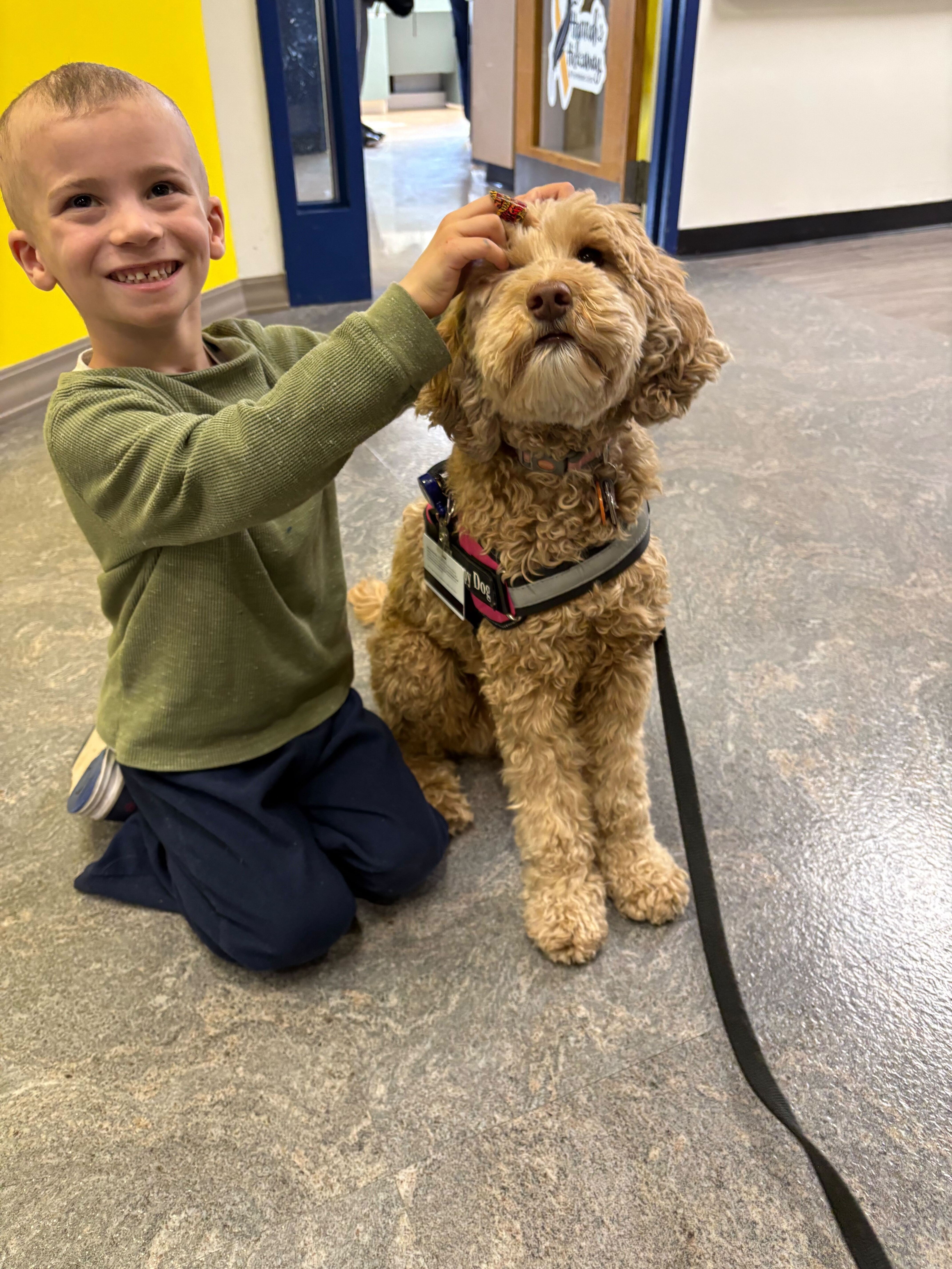 User-uploaded image 1