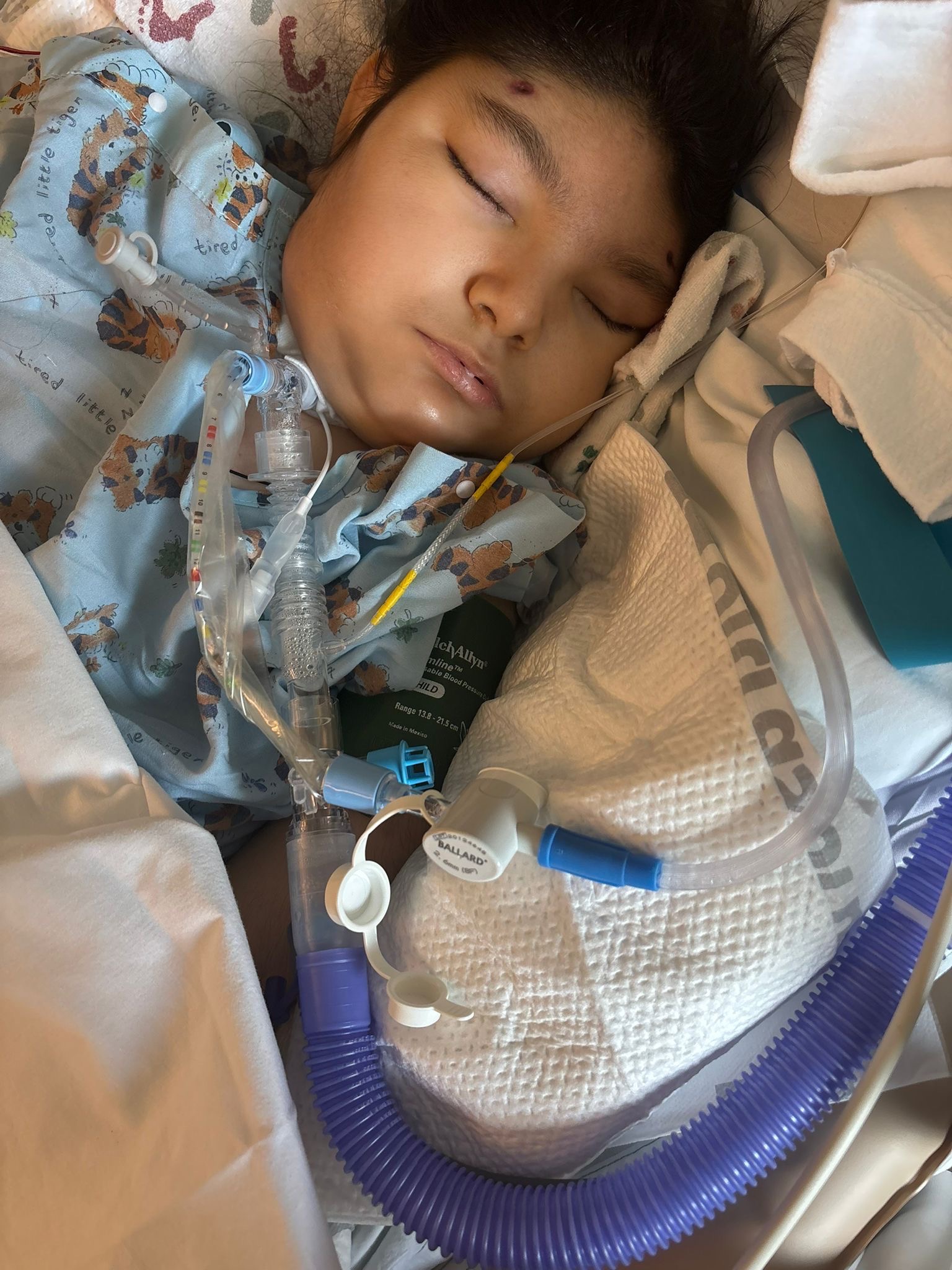 Support Ximena Ramos' Recovery Journey campaign photo, 5 of 8