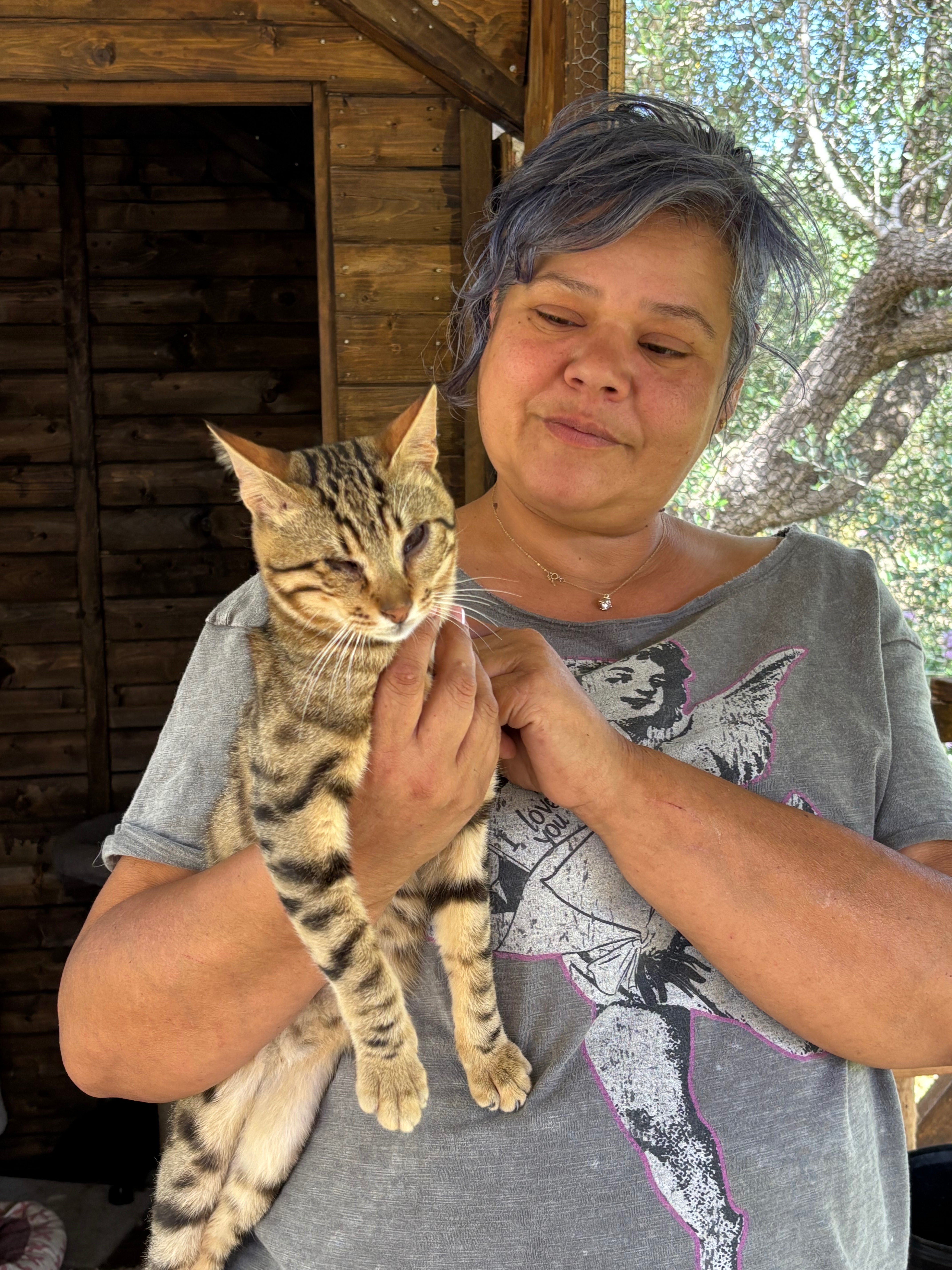 Help feed & treat disabled cats at Maria’s Cathouse campaign photo, 7 of 8