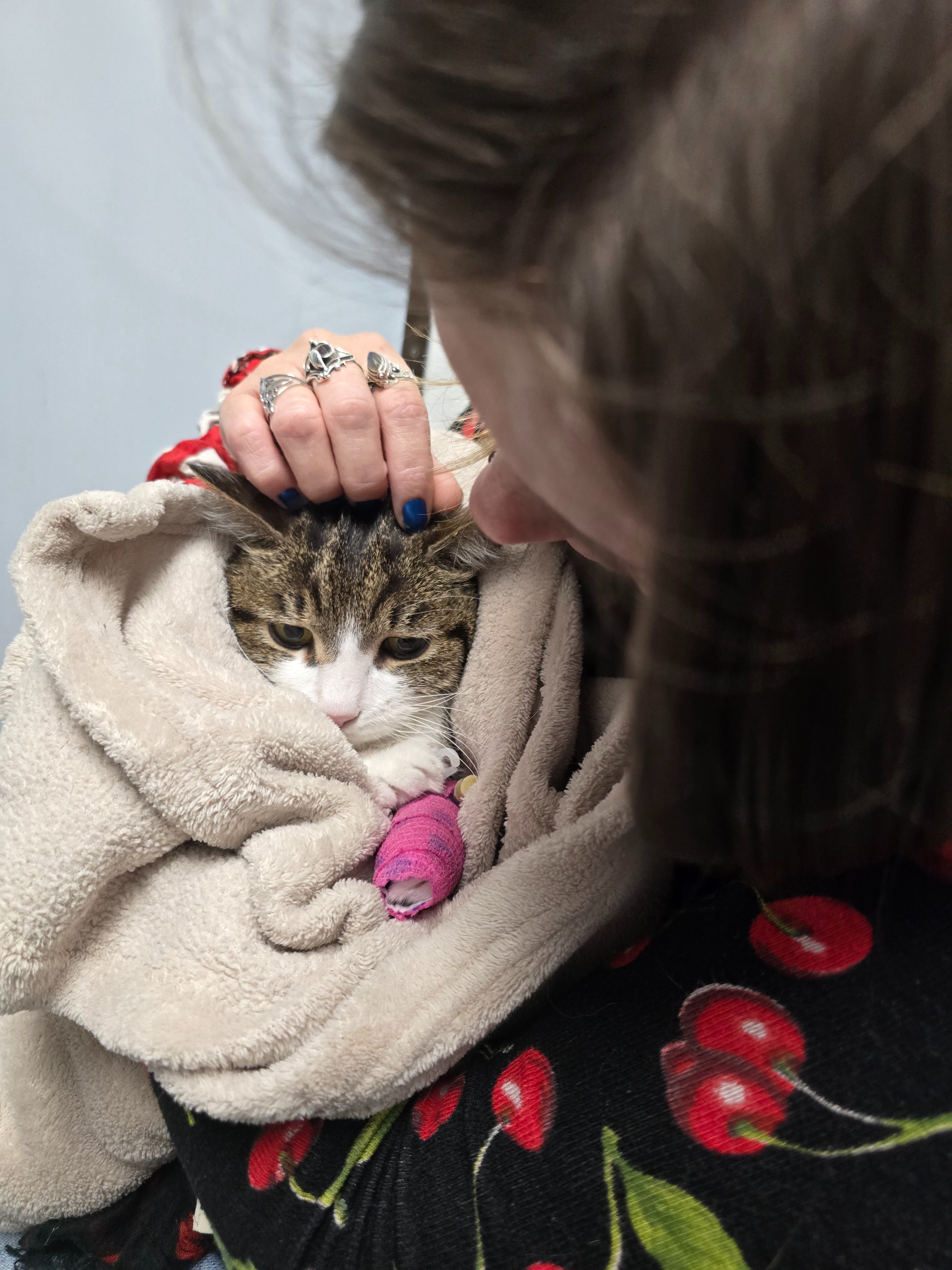 Juno, 11 ans atteinte d'insuffisance rénale et quoi d'autre? campaign photo, 7 of 8