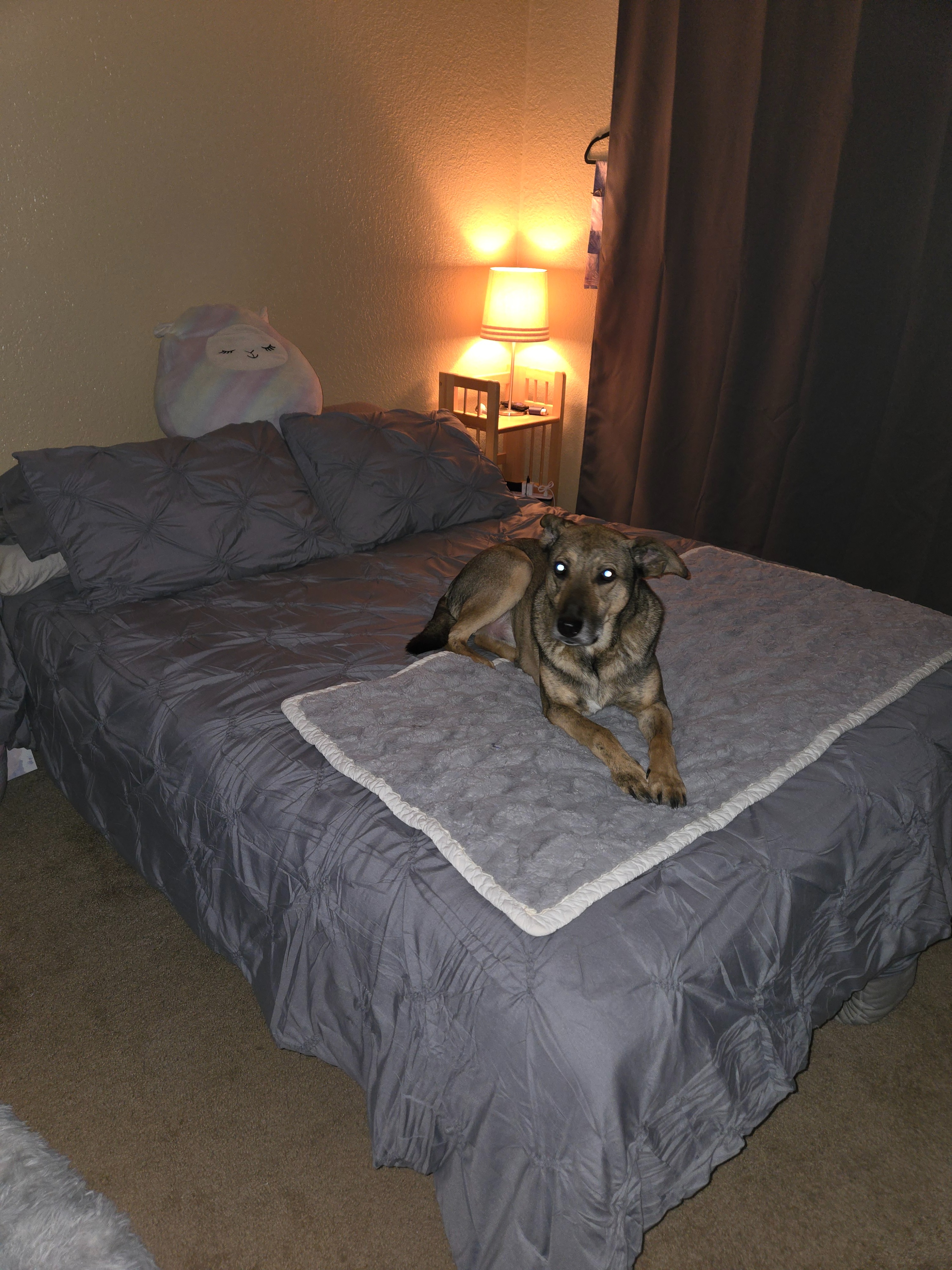 Help Theon Walk Again: Support His Surgery campaign photo, 7 of 8