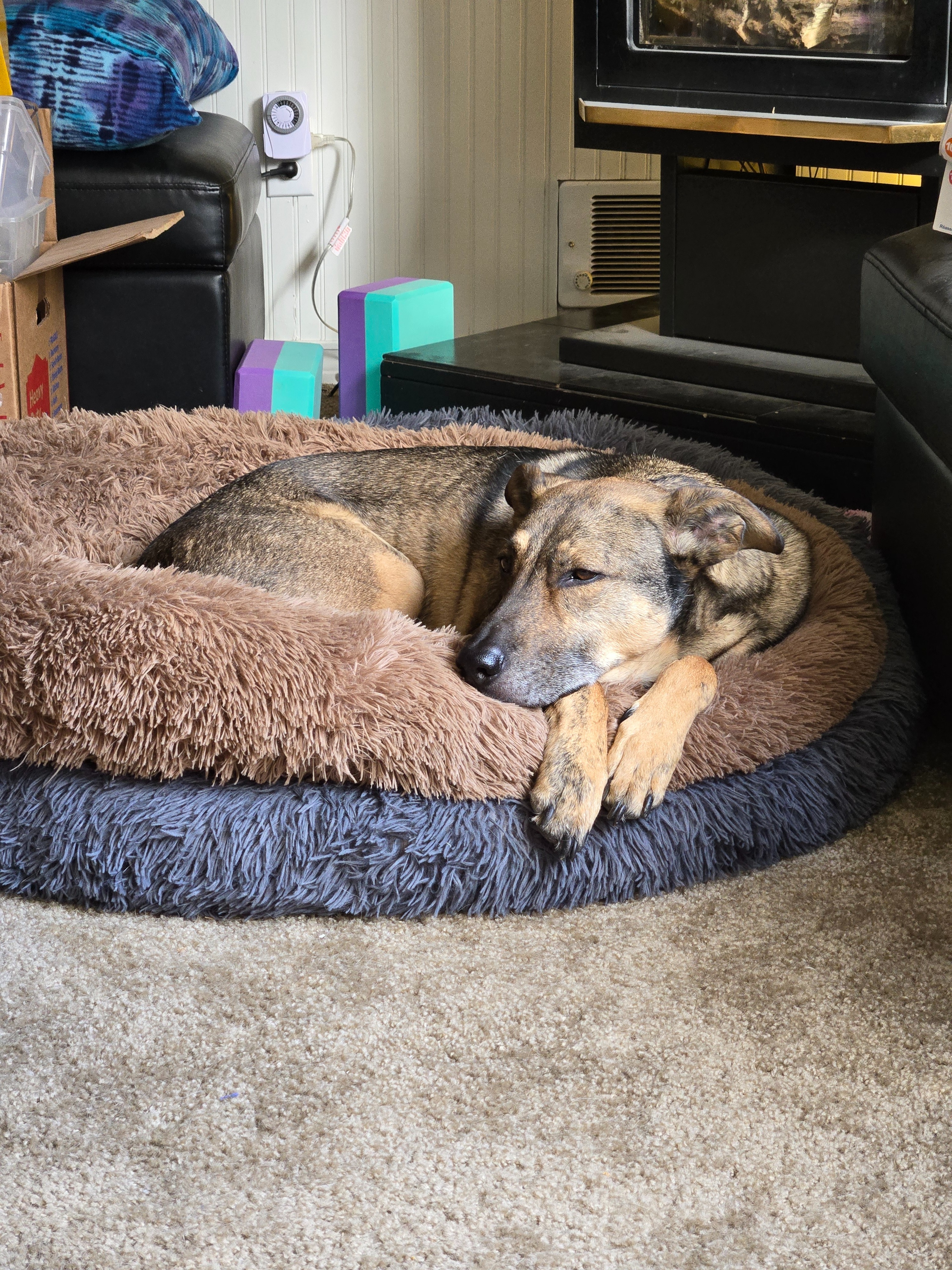 Help Theon Walk Again: Support His Surgery campaign photo, 4 of 8