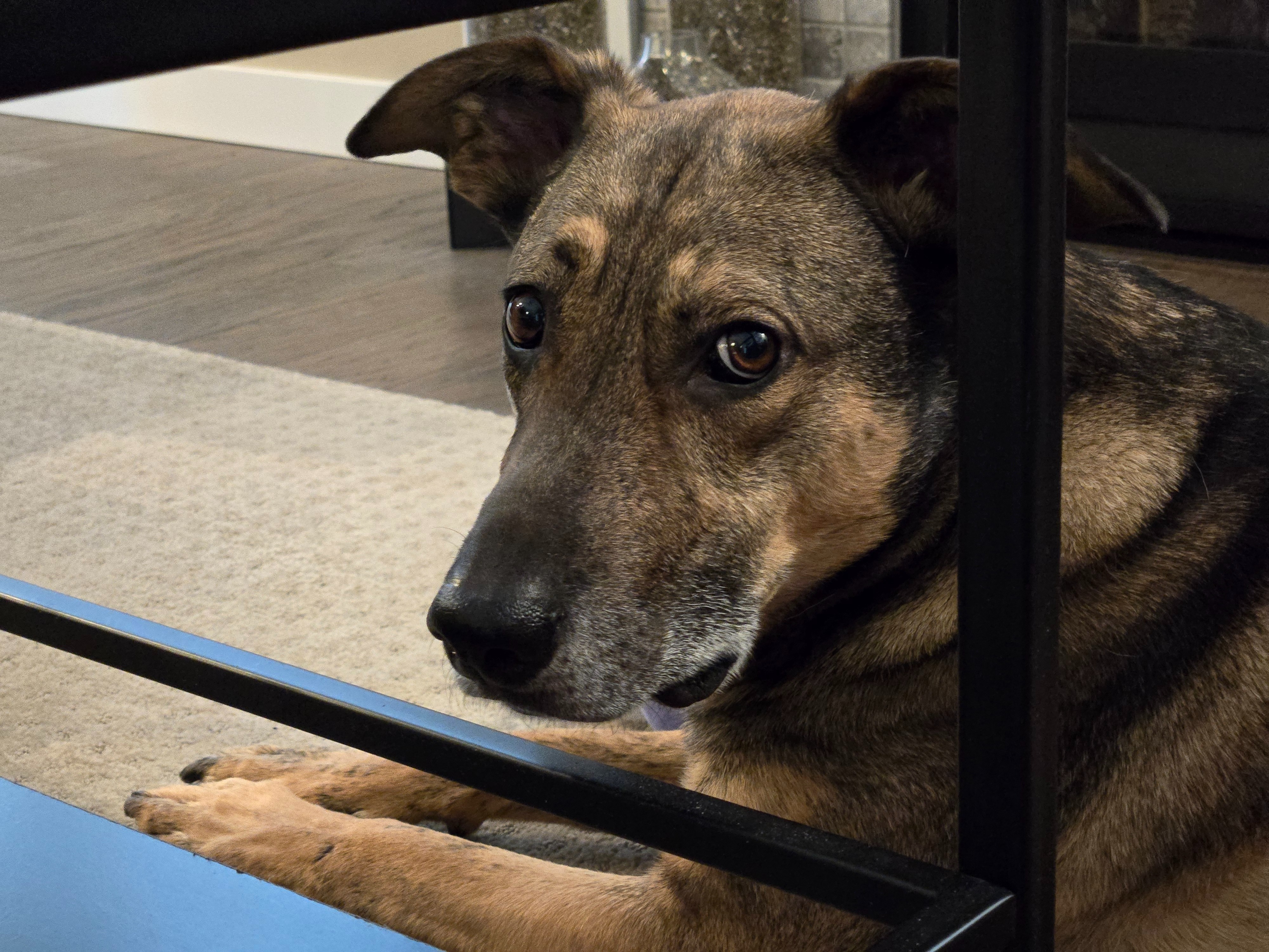 Help Theon Walk Again: Support His Surgery campaign photo, 6 of 8