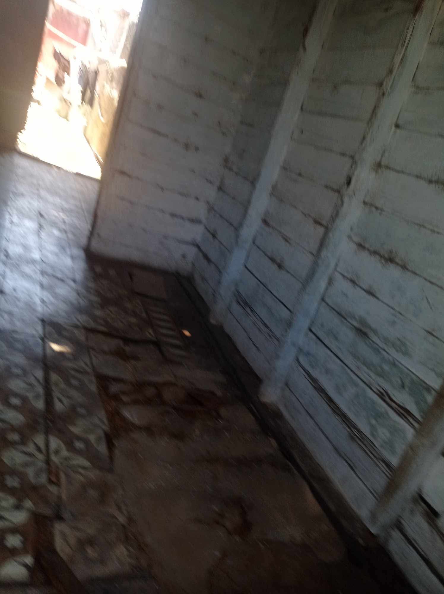 Imagen cargada por el usuario 3