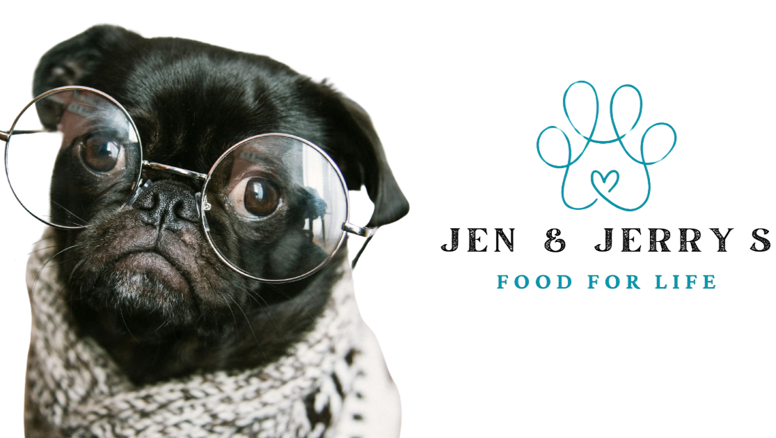 Support Healthier Lives for Our Beloved Dogs pinned link photo