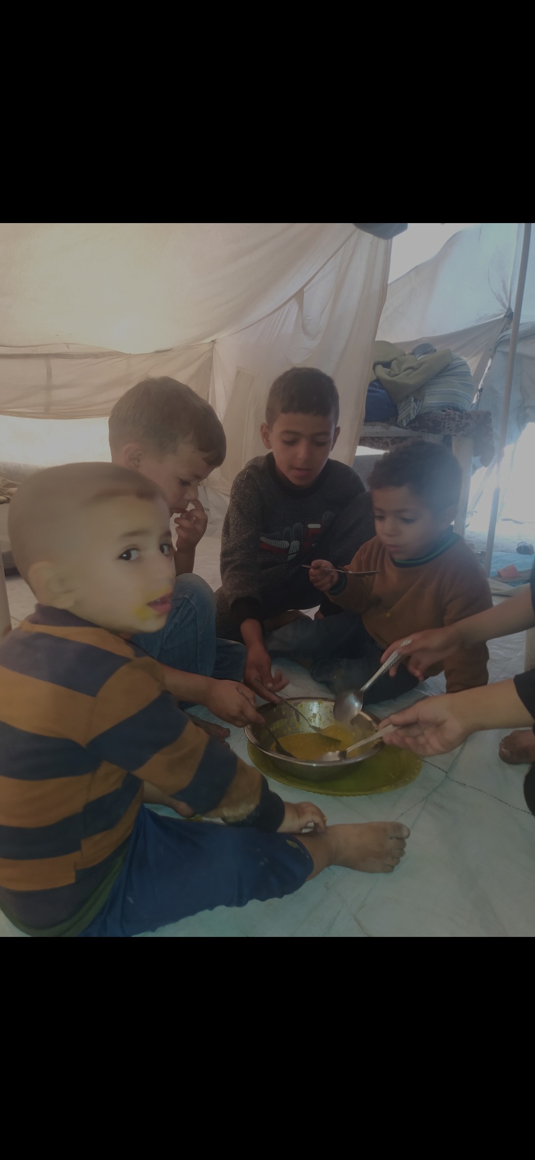 Save omer family to survive from hunger and homles campaign photo, 6 of 7