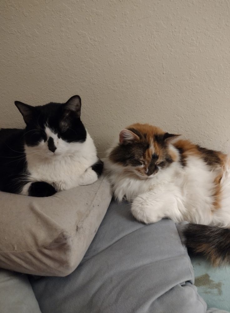 User-uploaded image 1