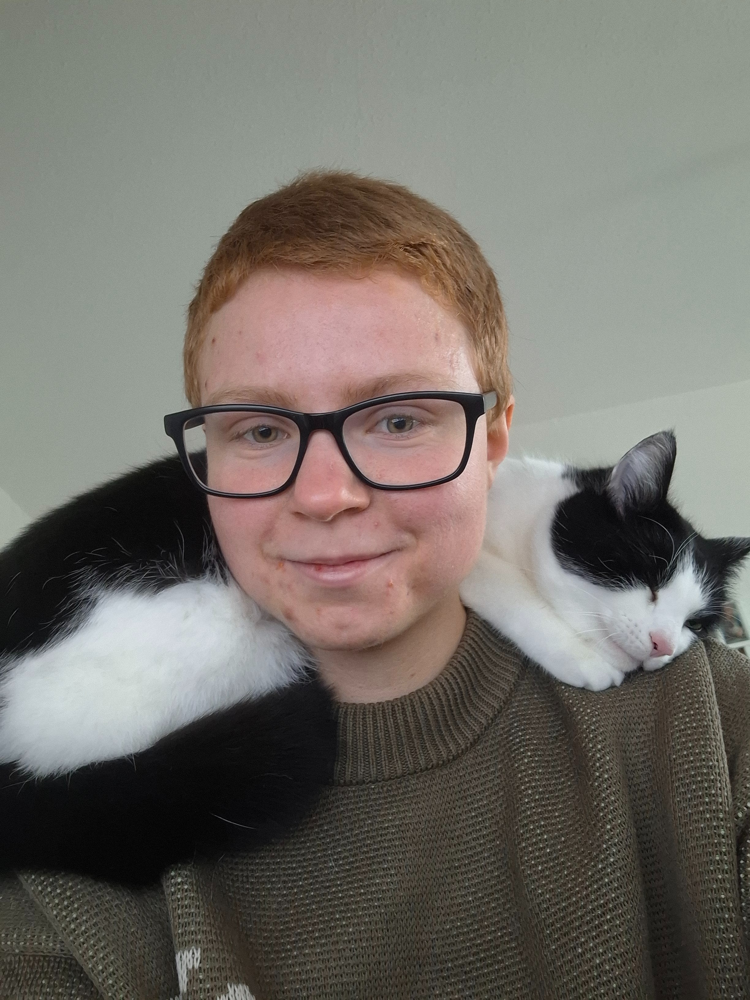 Vom Nutzer hochgeladenes Bild 1