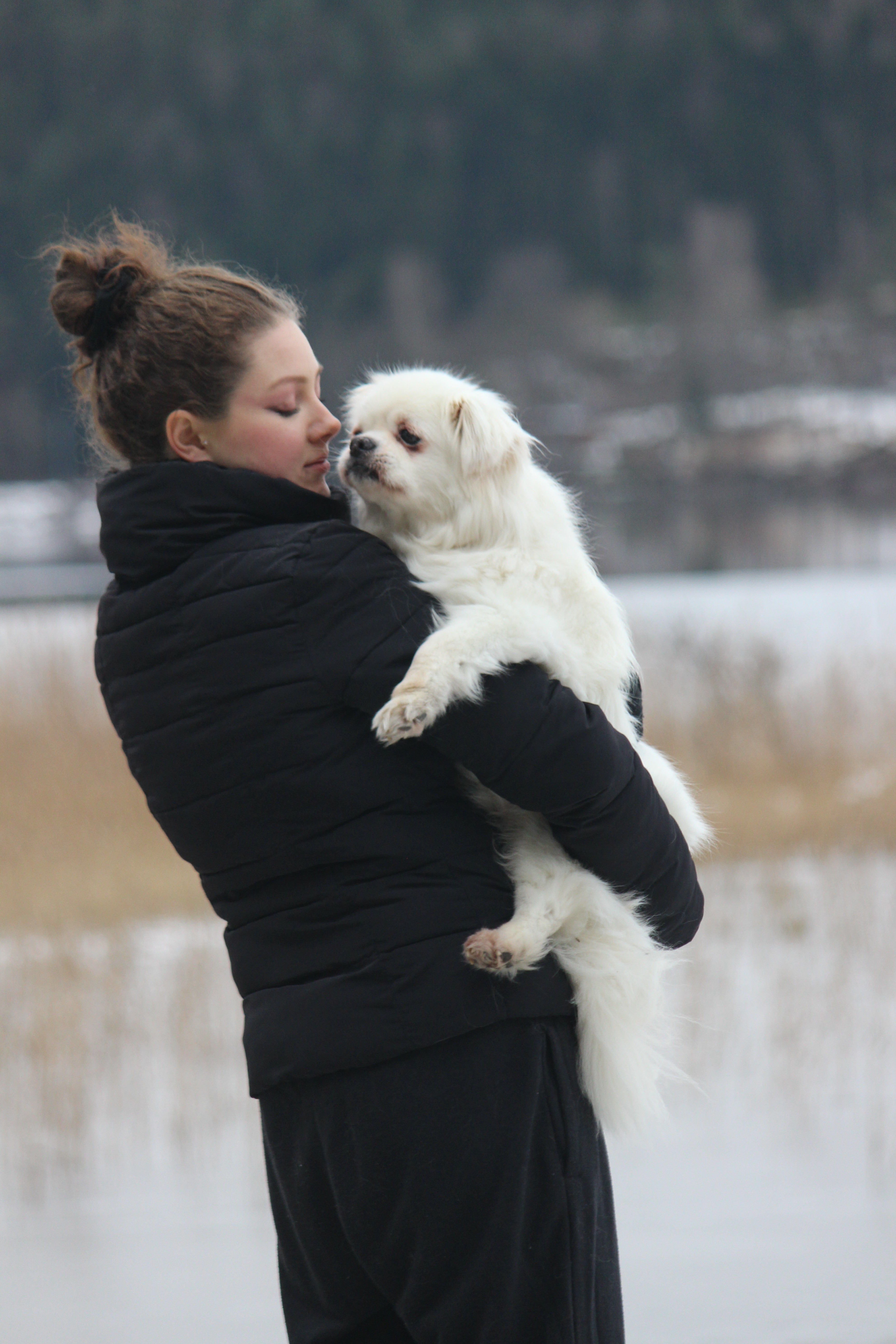 Help pay for Rocky's medical care campaign photo, 7 of 8
