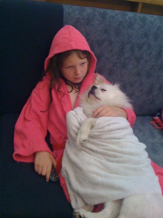Help pay for Rocky's medical care campaign photo, 5 of 8