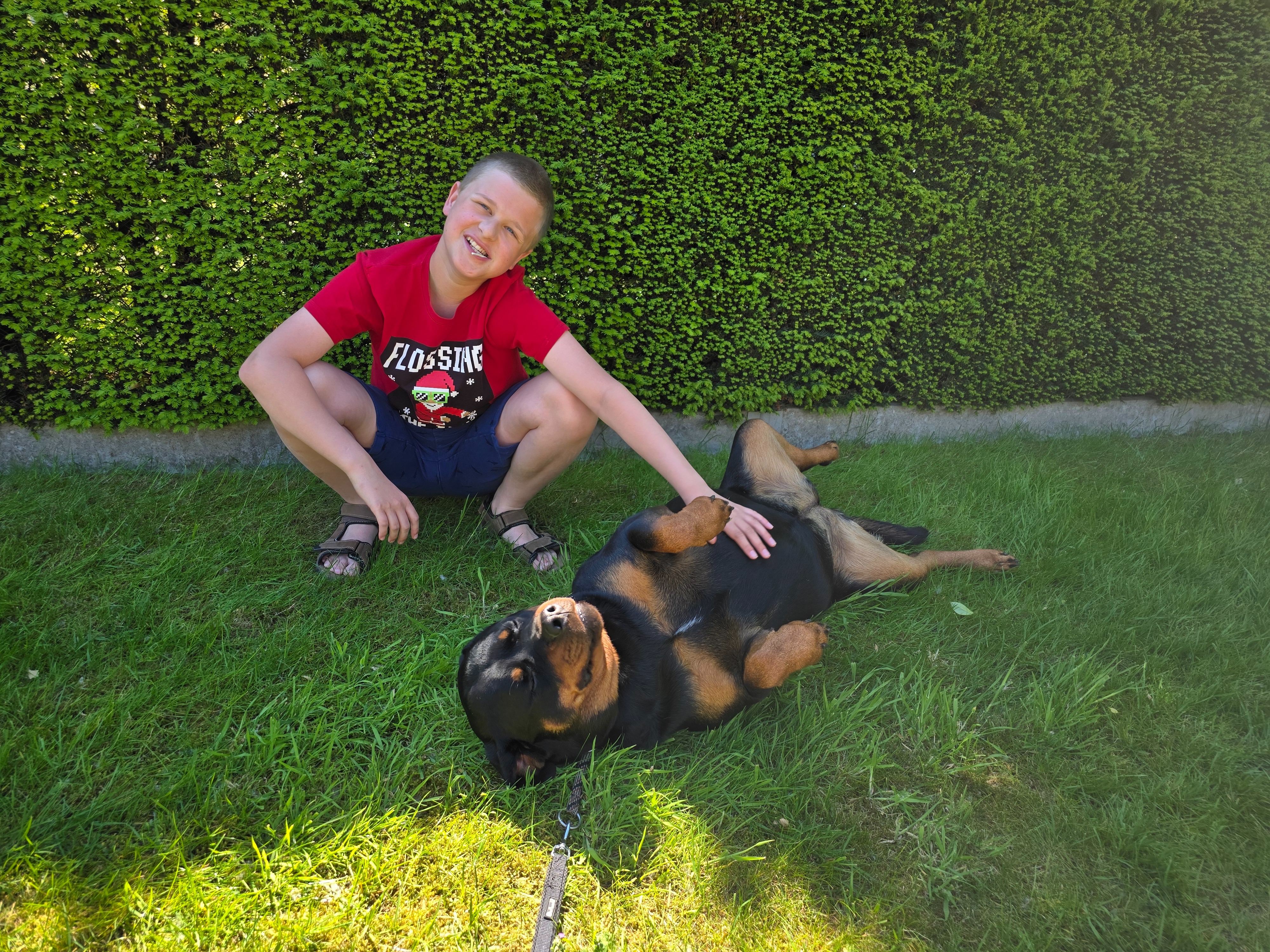 Help lowie om thuis te blijven campaign photo, 4 of 6