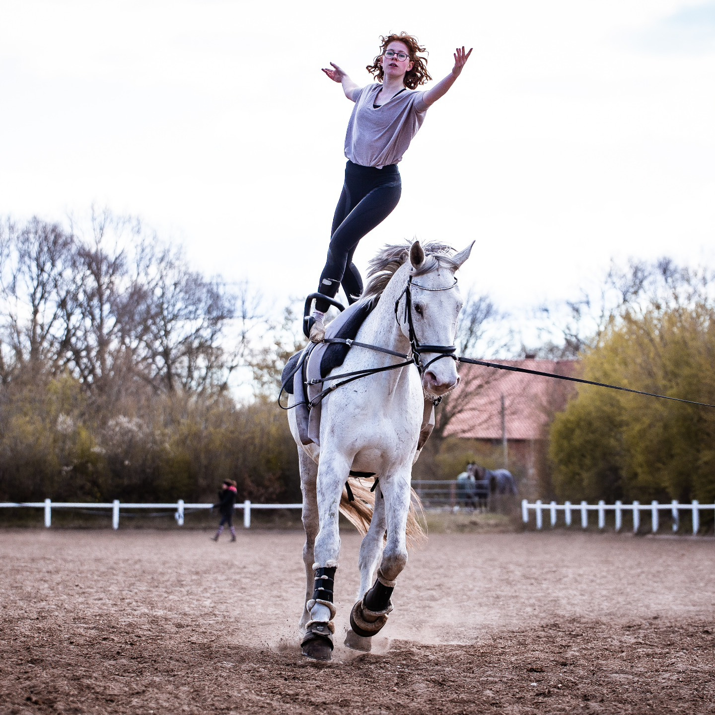 Vom Nutzer hochgeladenes Bild 1