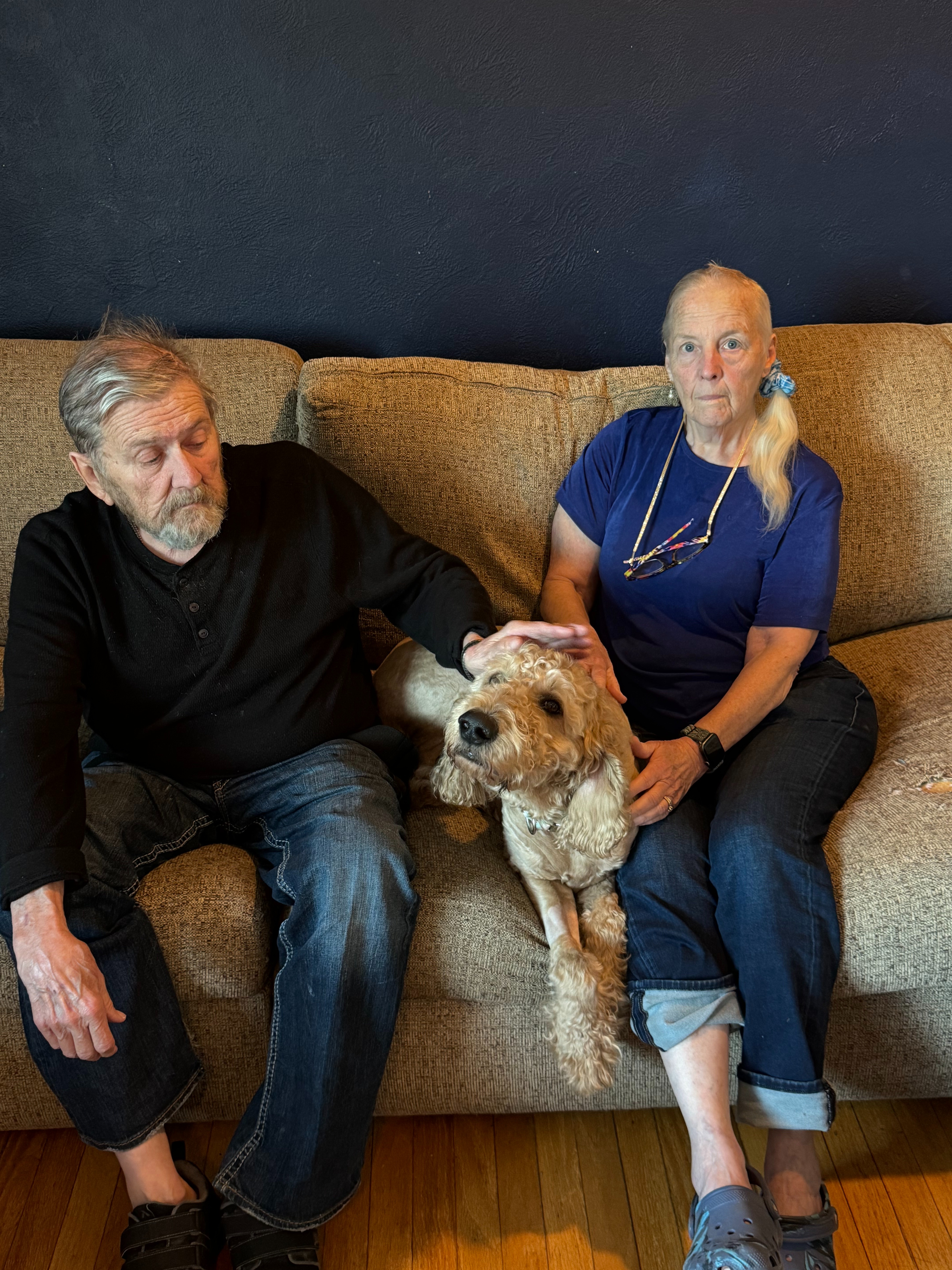 Help Charlie our Beloved Goldendoodle Get Lifesaving Surgery campaign photo, 5 of 8