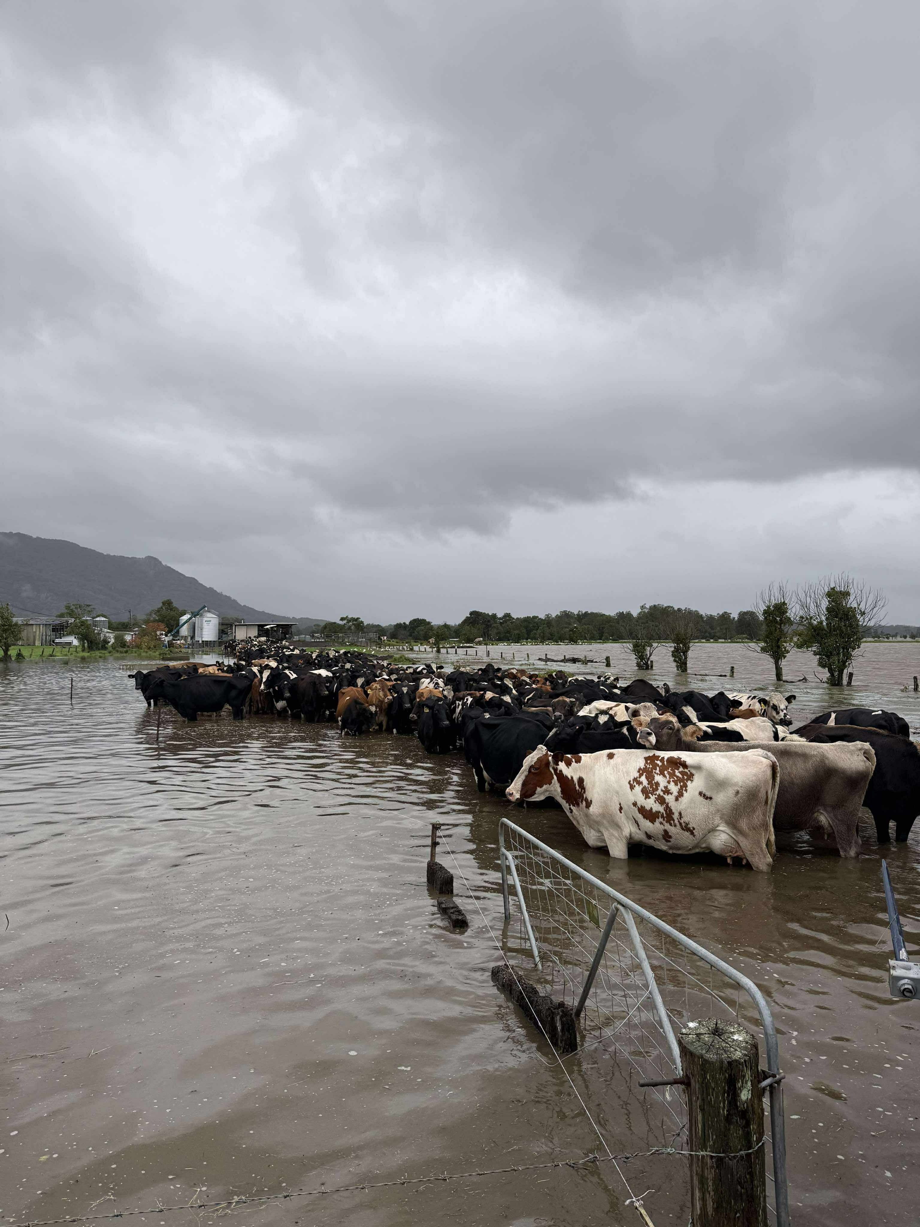 Help Farmers after the floods. campaign photo, 6 of 7