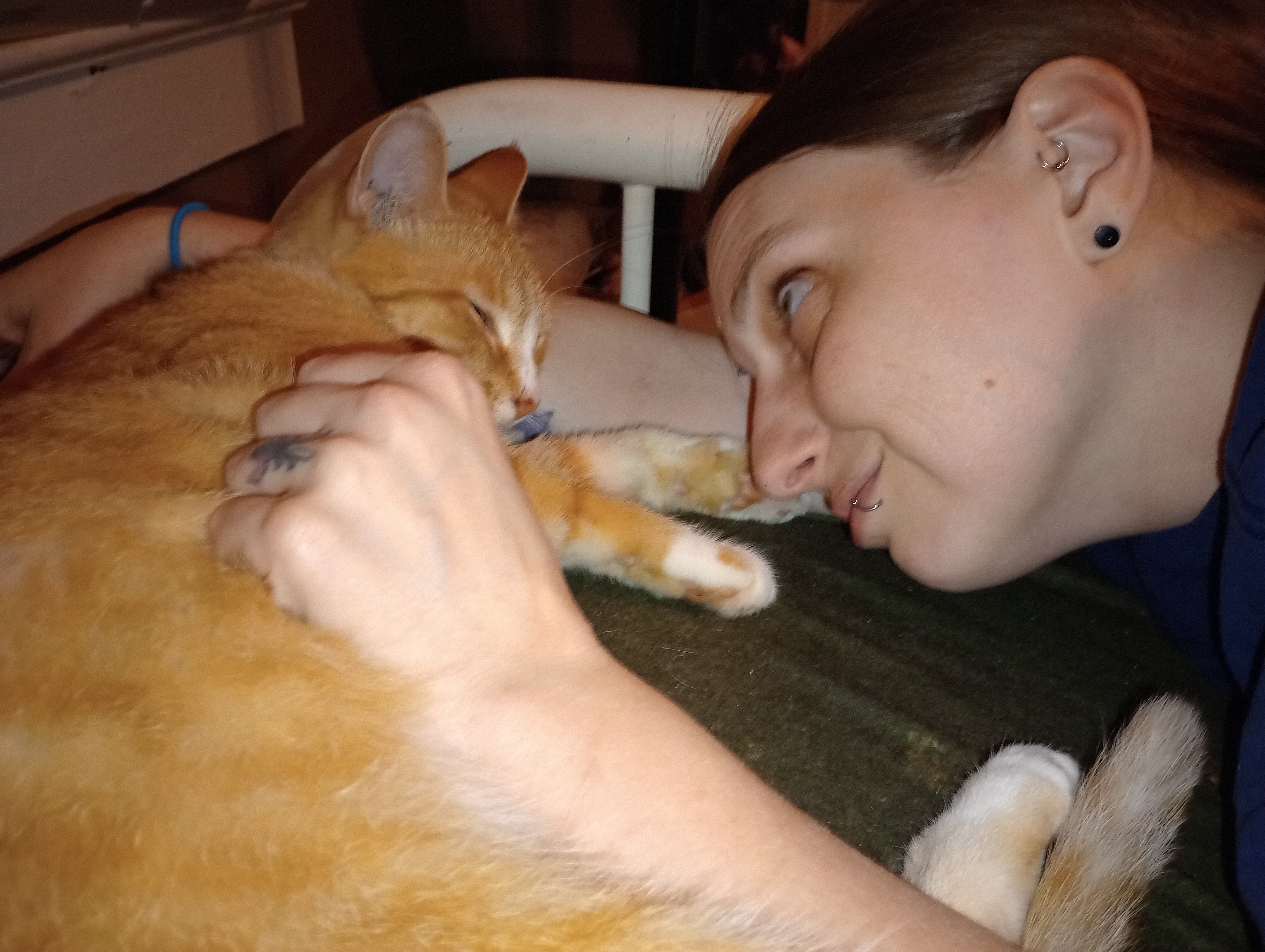 URGENT NEED: Firefighter, Teacher, & Cats face homelessness campaign photo, 4 of 5