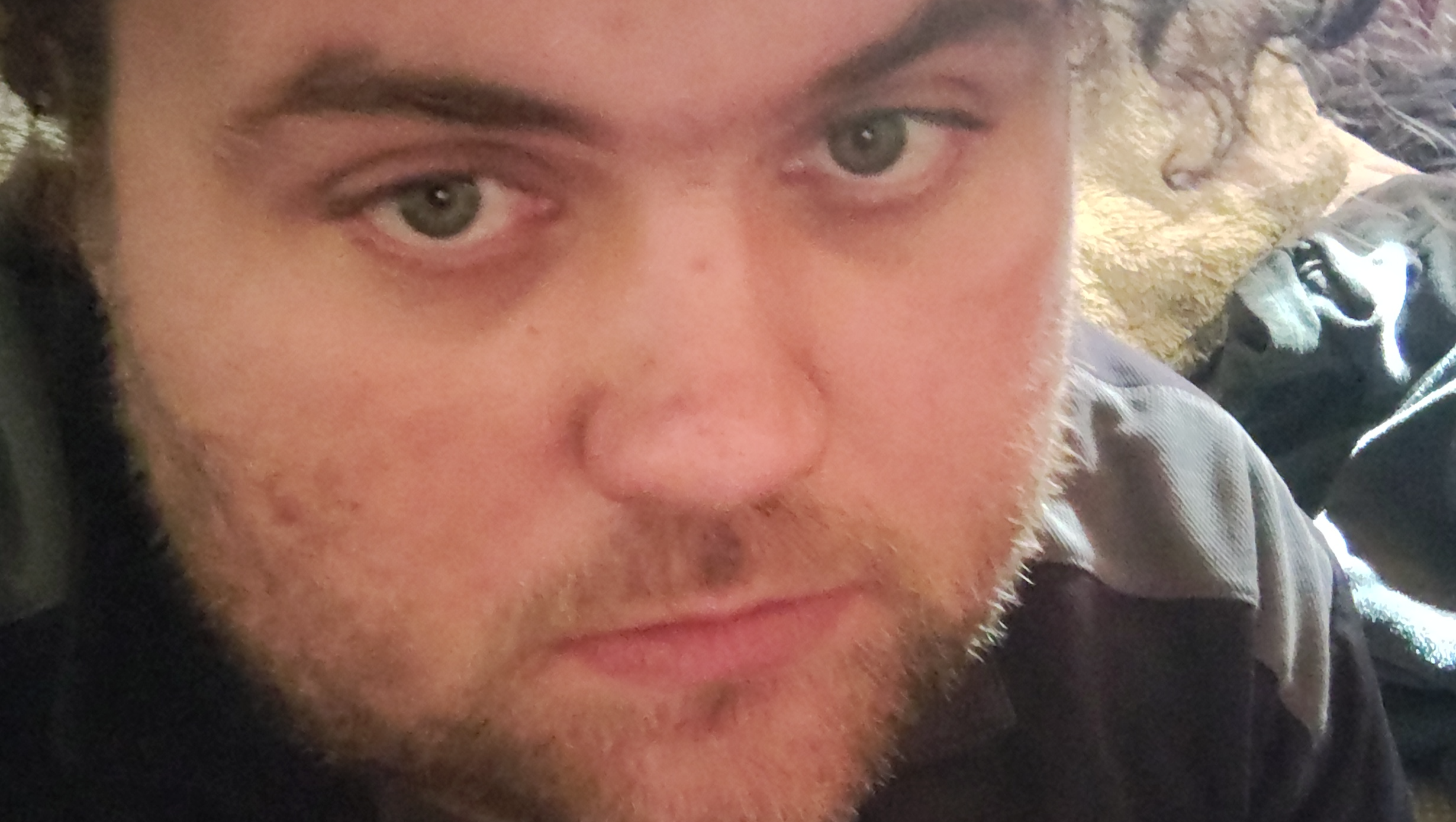 Fundraiser by Jojo Reed : Struggling to find work, need help w food and ...
