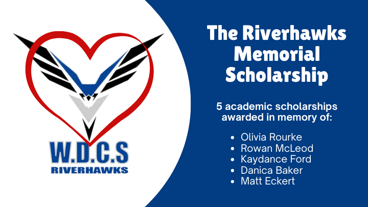 User-uploaded image 1