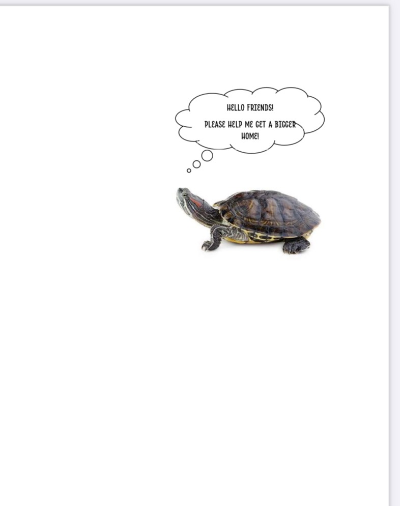 Support Ralph's New Tank Journey campaign photo, 2 of 4
