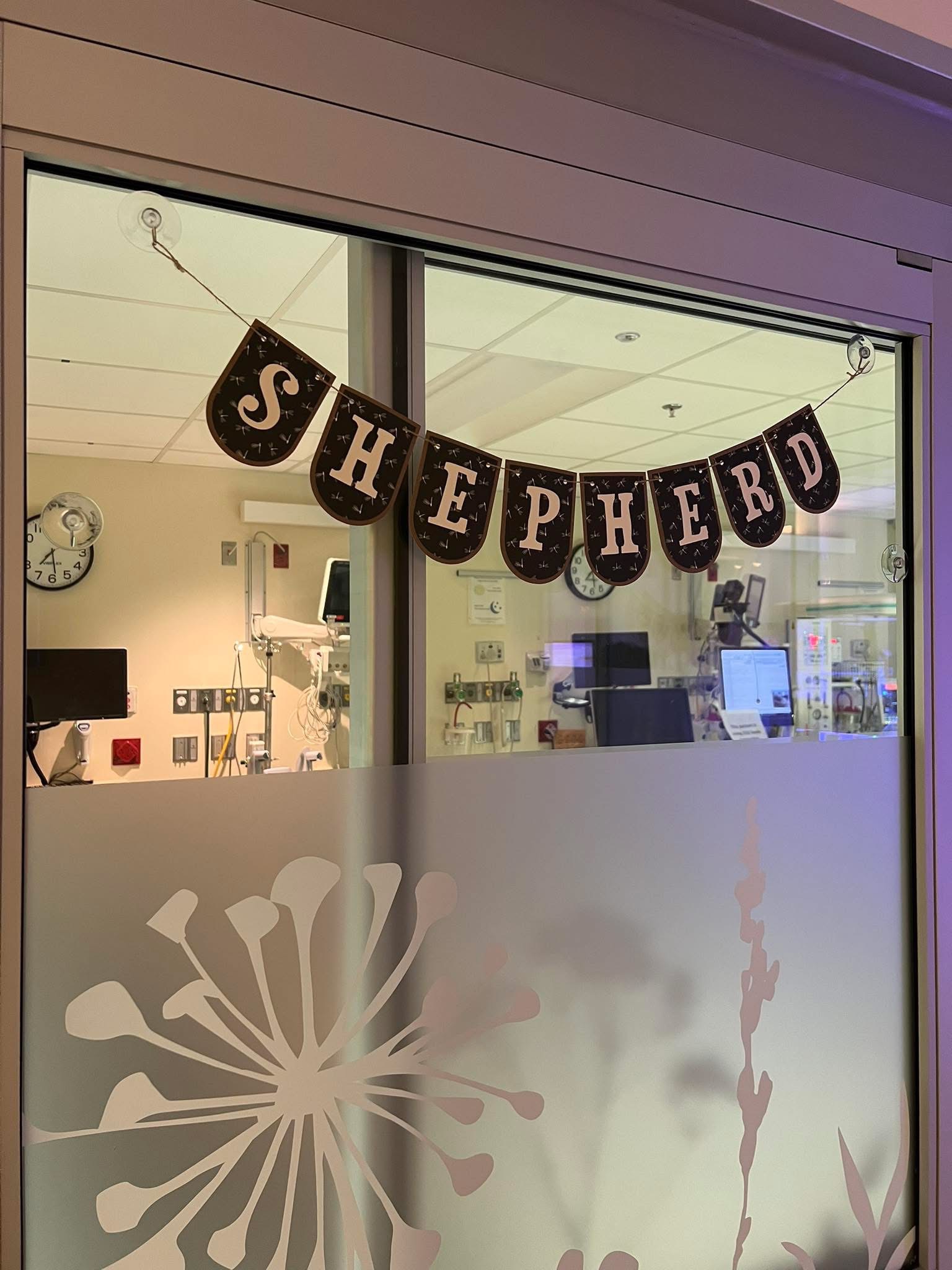 Help Support Baby Shepherd and His Family campaign photo, 4 of 7